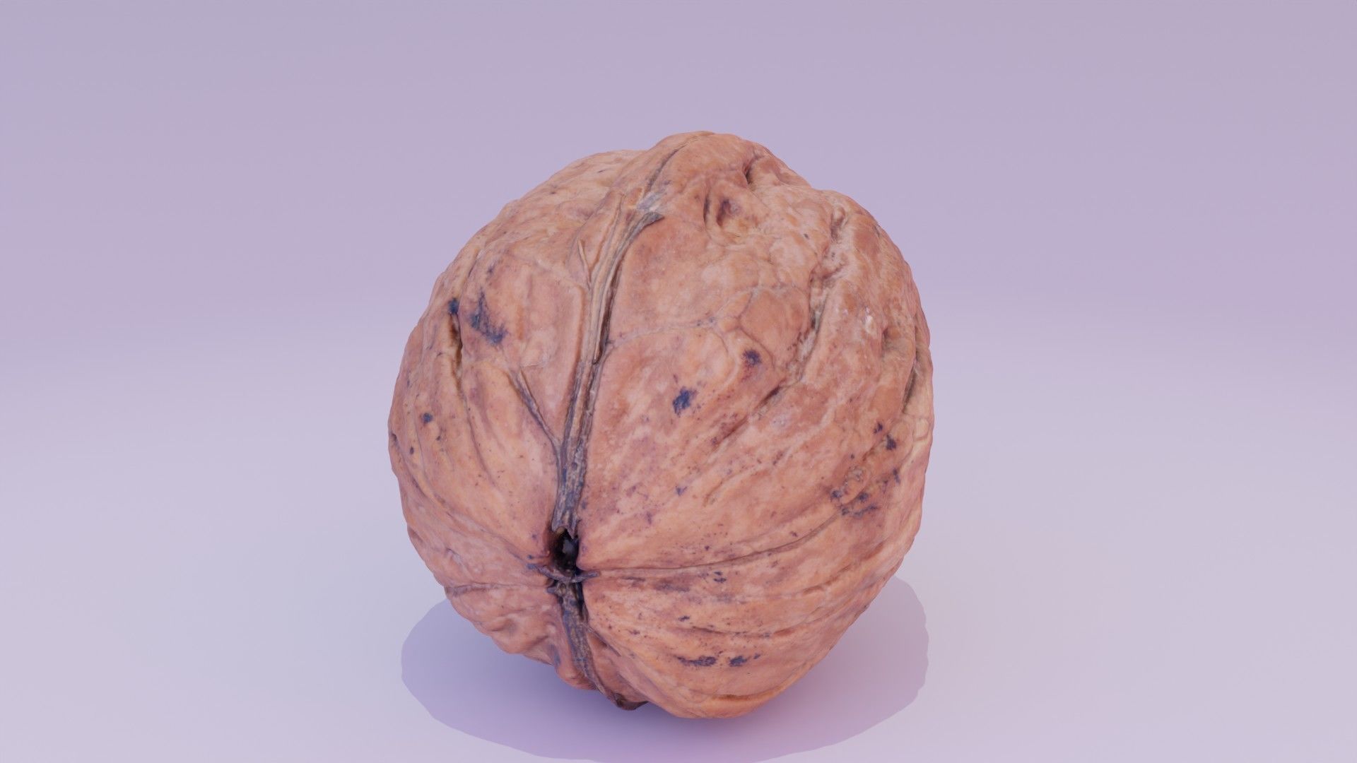 Walnut fruit 03 high-poly 3D model_13