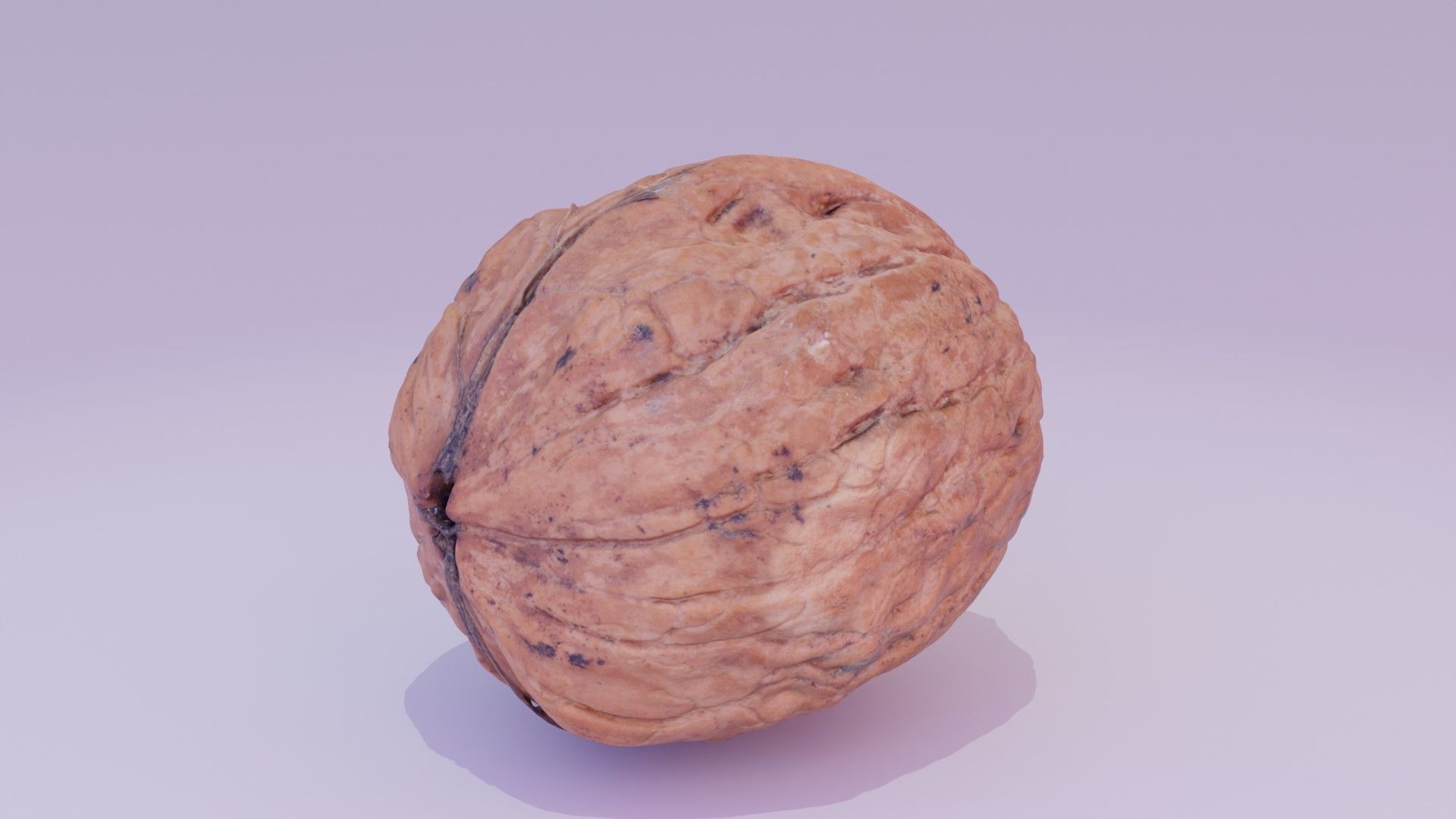Walnut fruit 03 high-poly 3D model_12