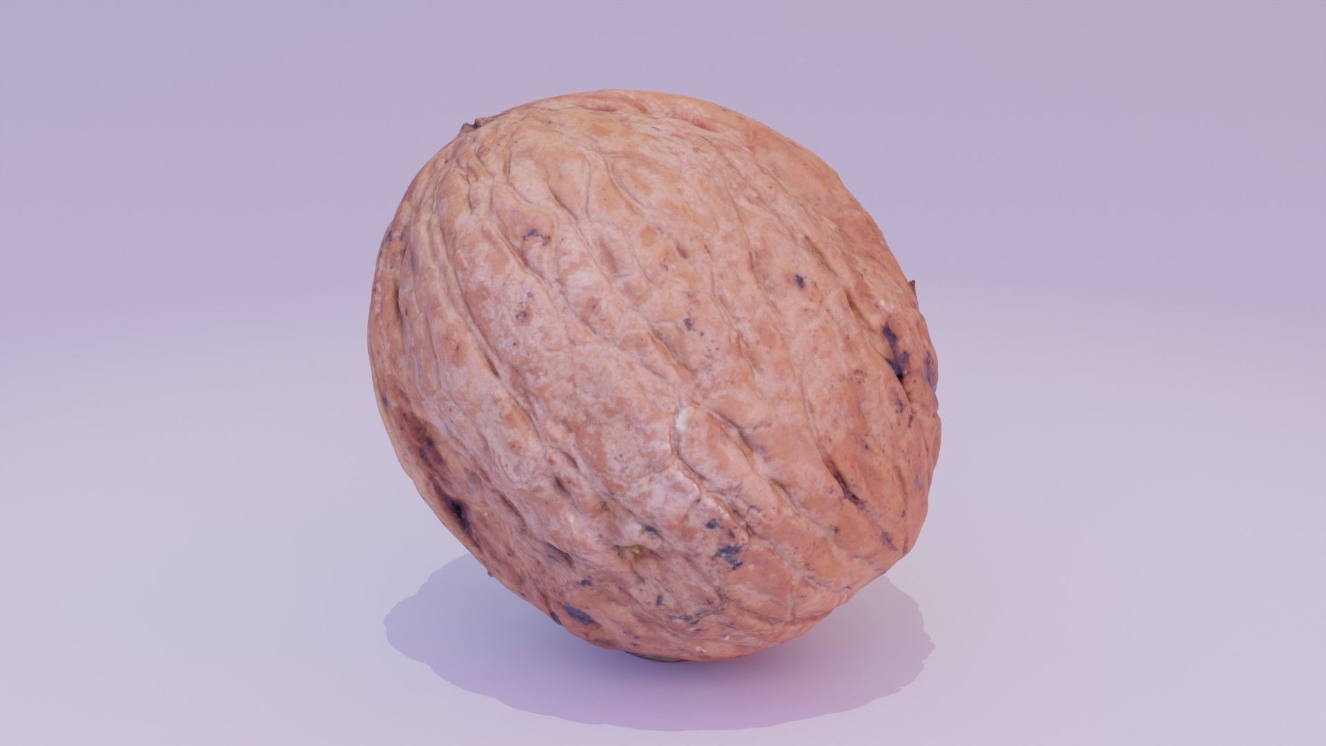 Walnut fruit 03 high-poly 3D model_16