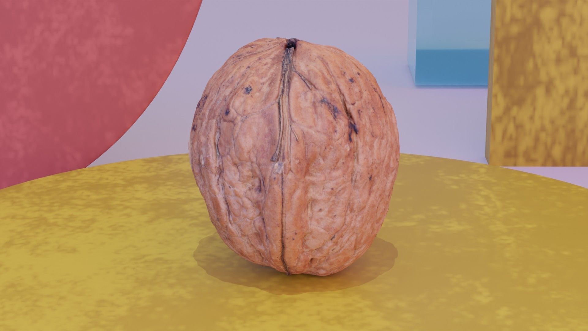 Walnut fruit 03 high-poly 3D model_9
