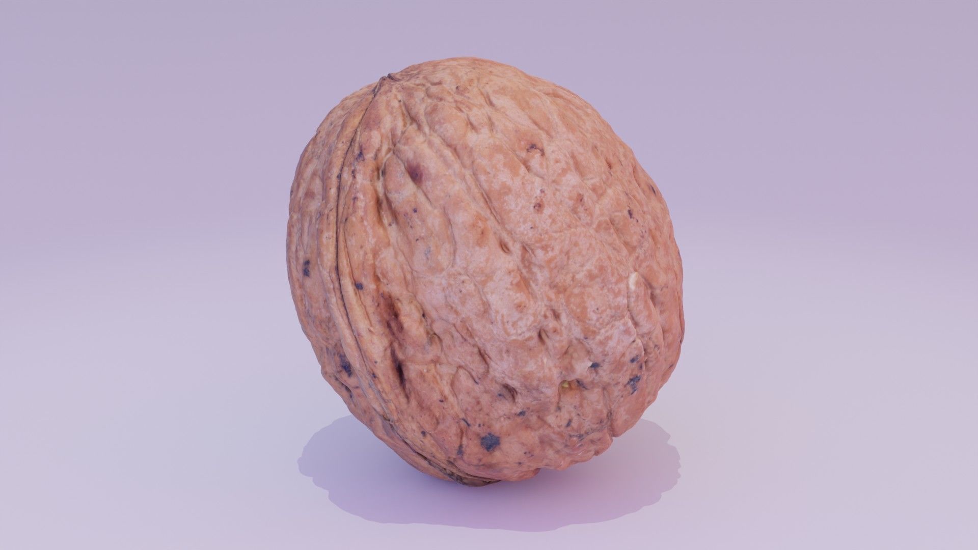 Walnut fruit 03 high-poly 3D model_17