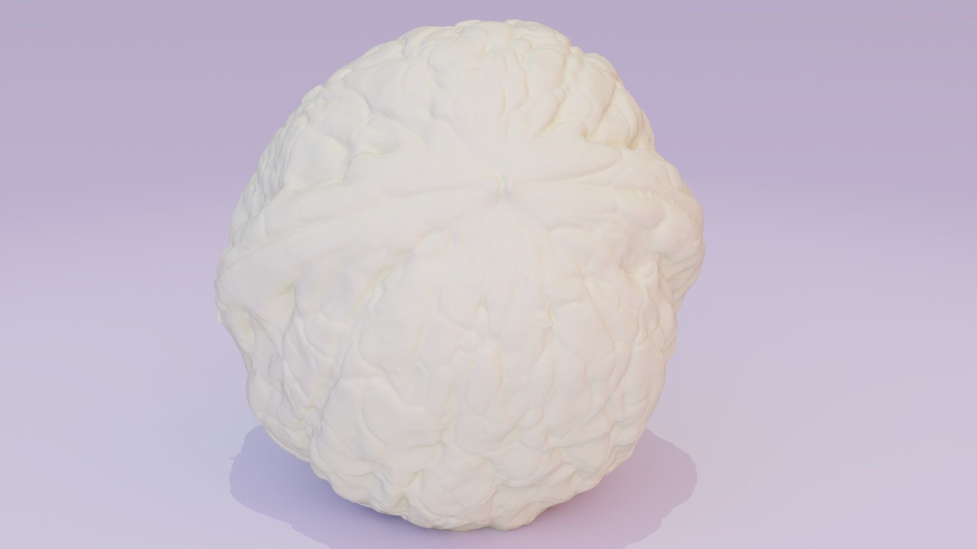 Walnut fruit 03 high-poly 3D model_21