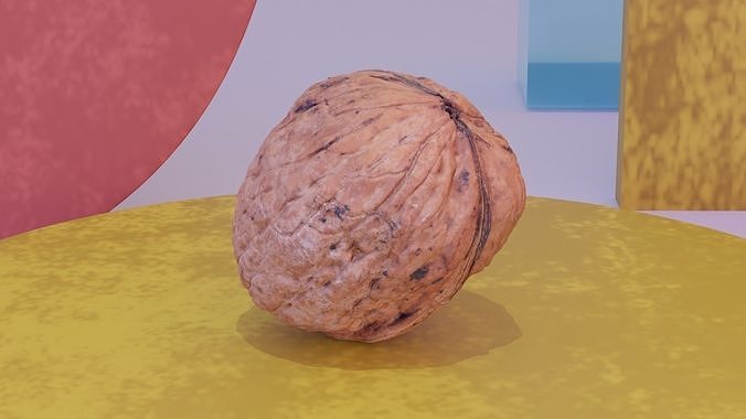 Walnut fruit 03 high-poly 3D model 6