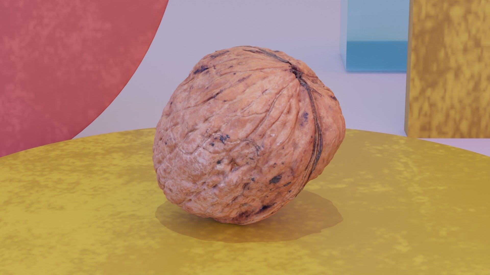 Walnut fruit 03 high-poly 3D model_5