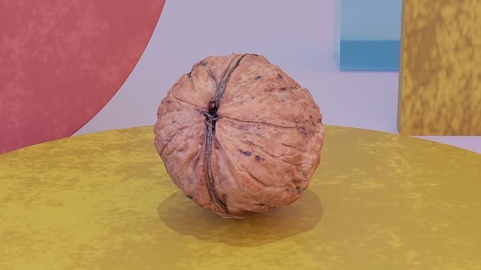 Walnut fruit 03 high-poly 3D model 4