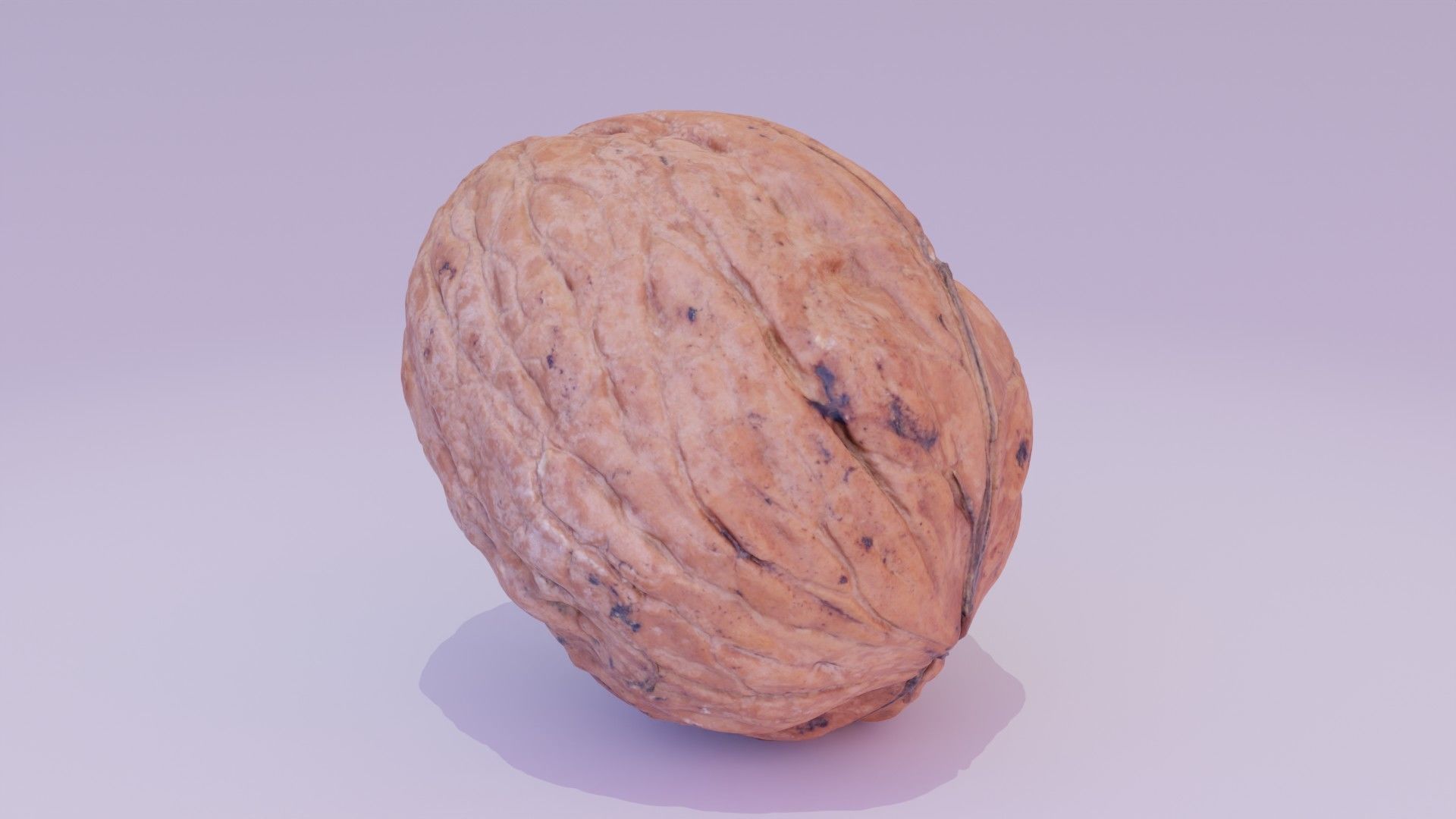Walnut fruit 03 high-poly 3D model_15