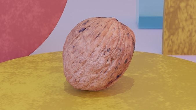 Walnut fruit 03 high-poly 3D model 7
