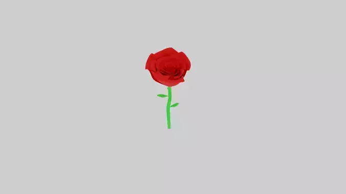 Rose Flower