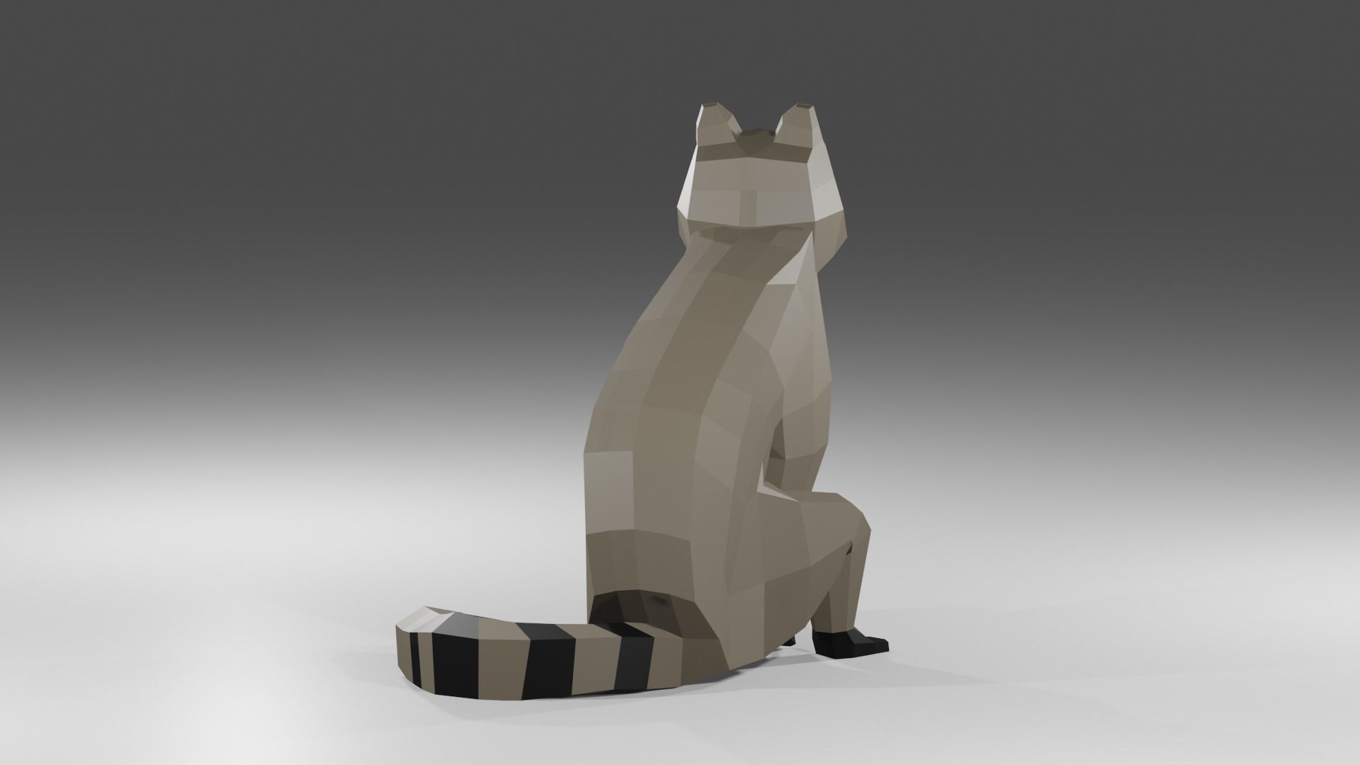 Raccon Low Poly Rigged Free low-poly 3D model_2