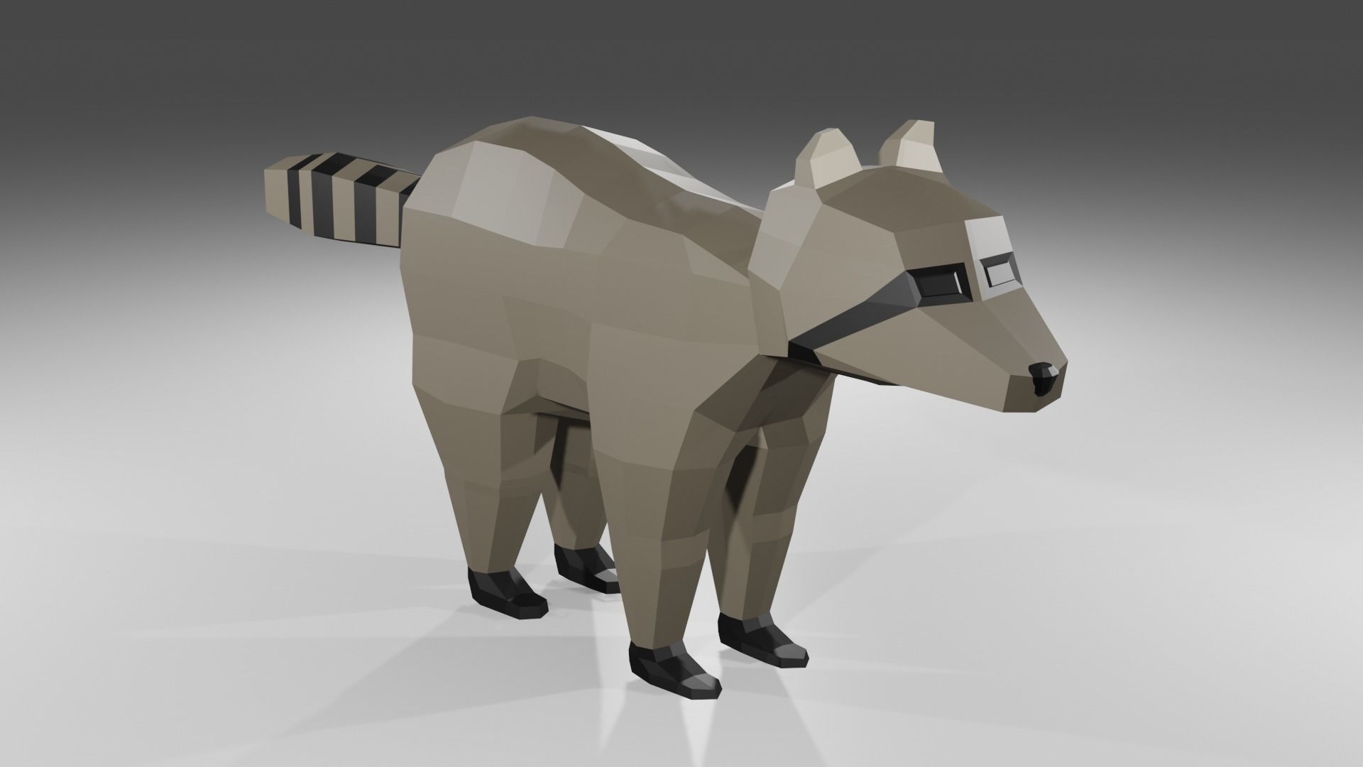 Raccon Low Poly Rigged Free low-poly 3D model_1