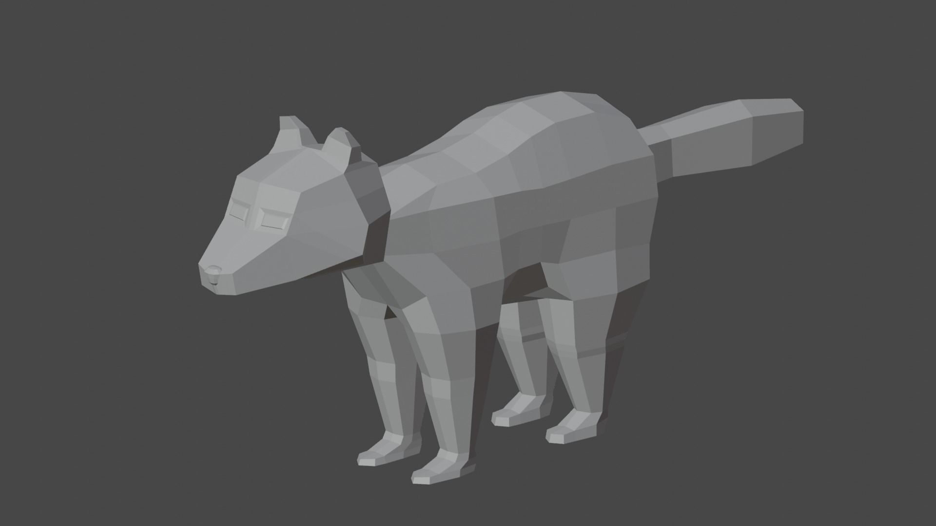 Raccon Low Poly Rigged Free low-poly 3D model_5
