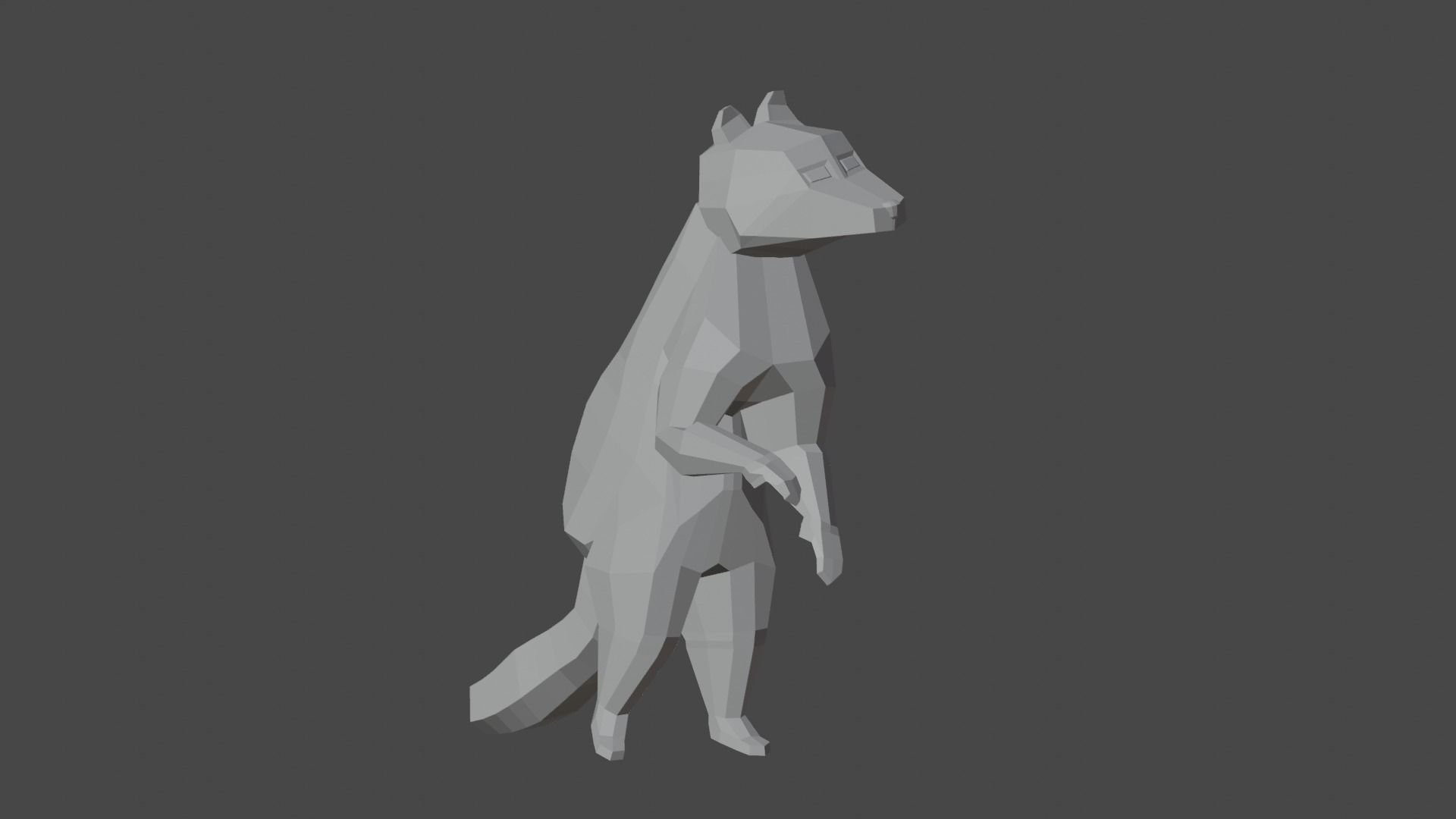 Raccon Low Poly Rigged Free low-poly 3D model_6