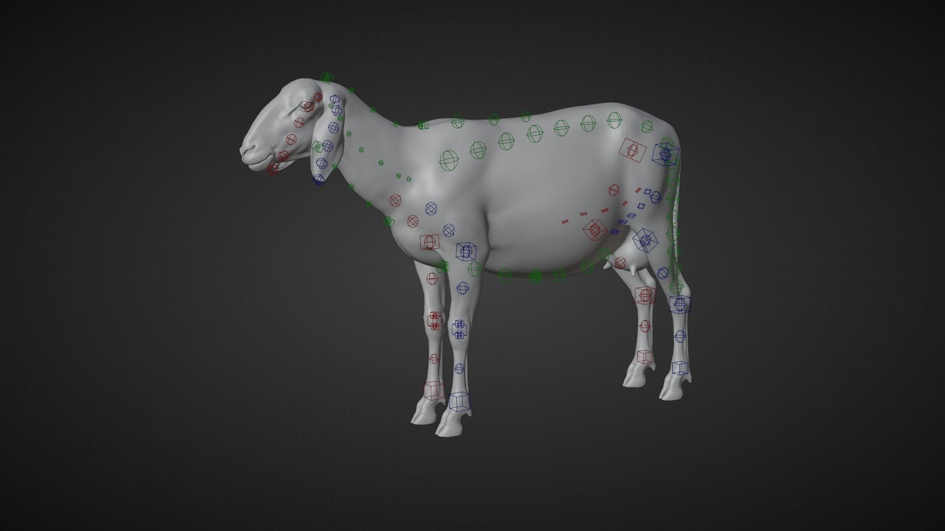 Assaf Sheep Pack Animated  VFX Grace 3D model_13