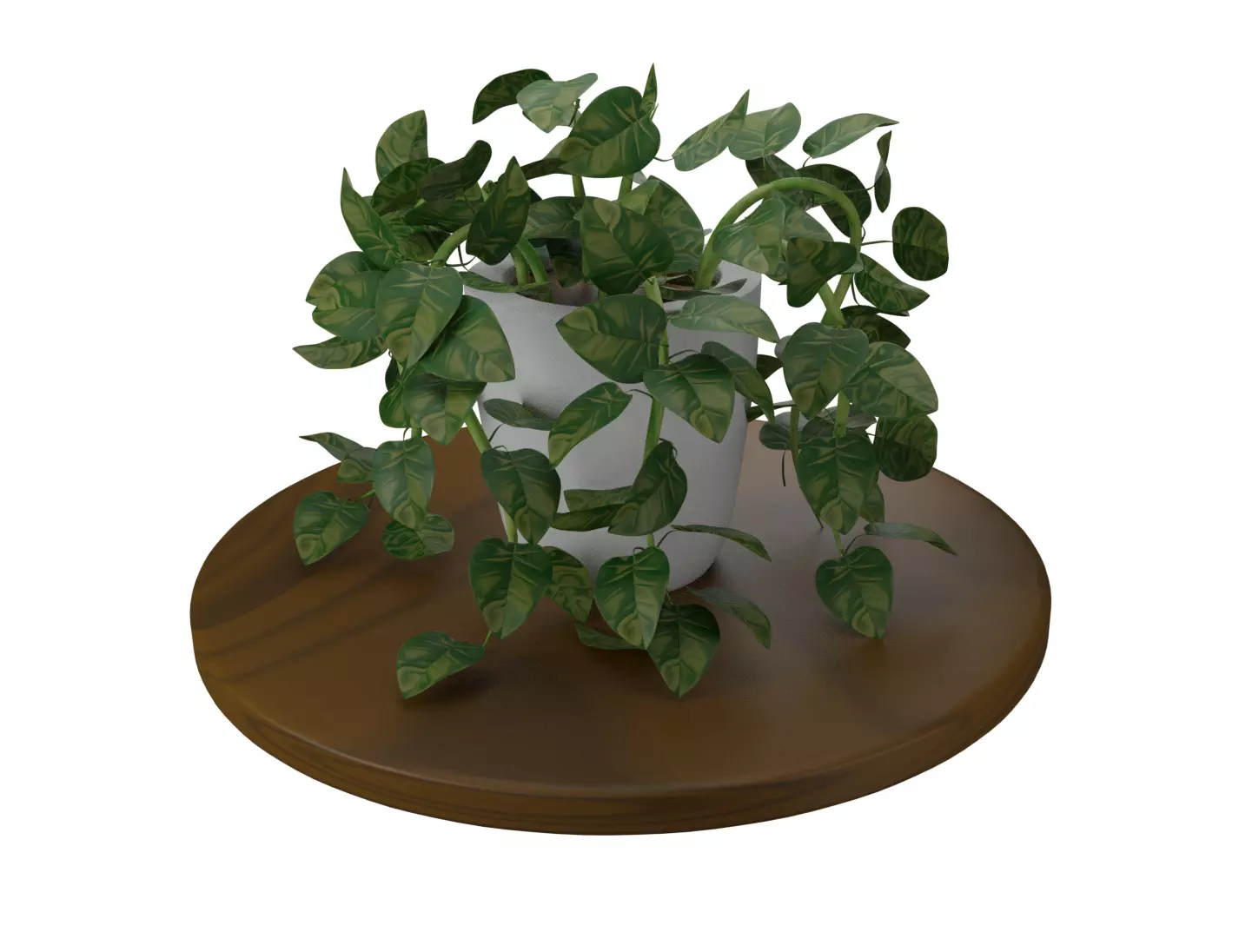 spotted betel 3D Model 3D model_0