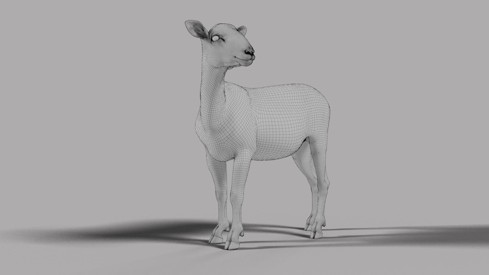 Young Sheep with 1 Animation VFX Grace 3D model_13