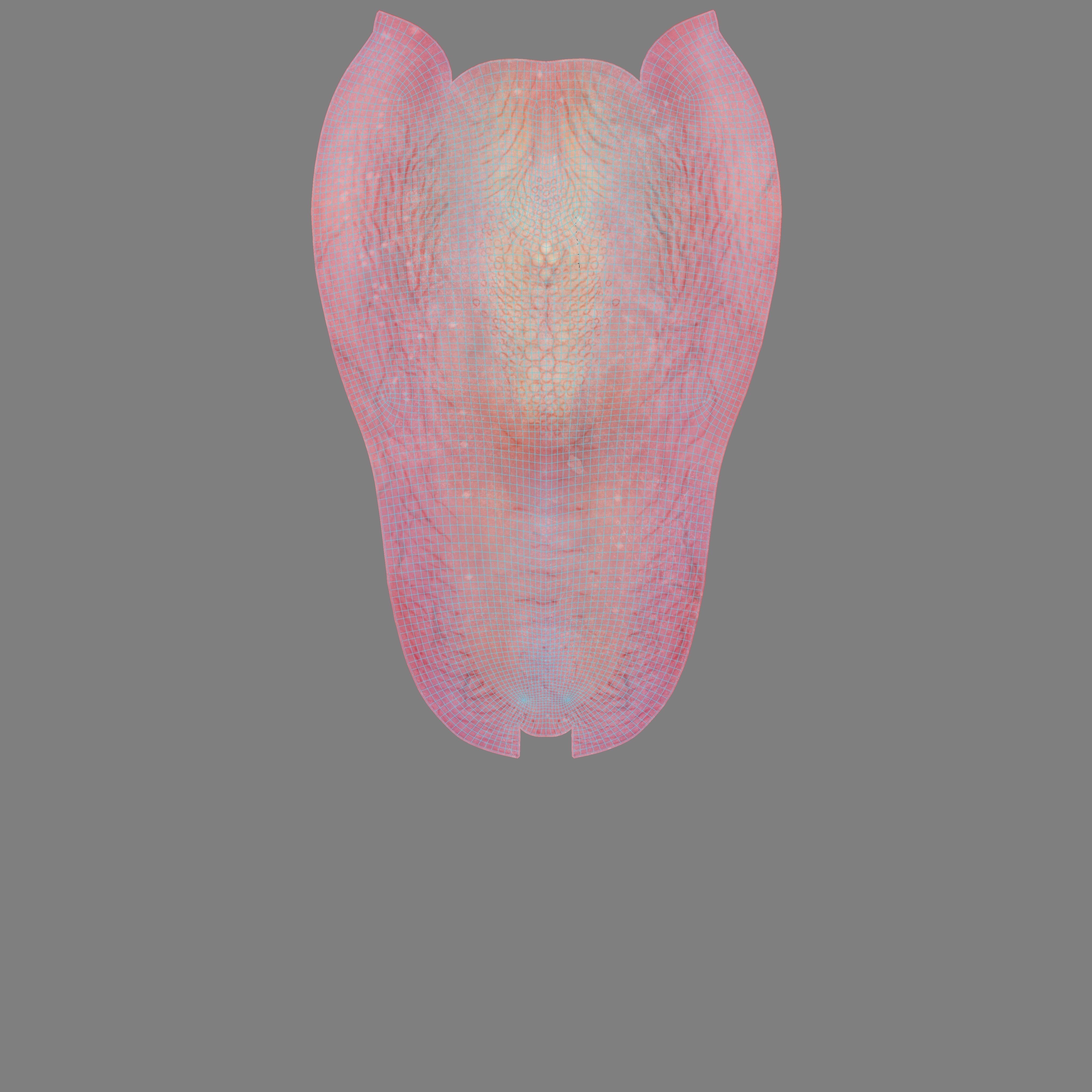 Young Sheep with 1 Animation VFX Grace 3D model_11