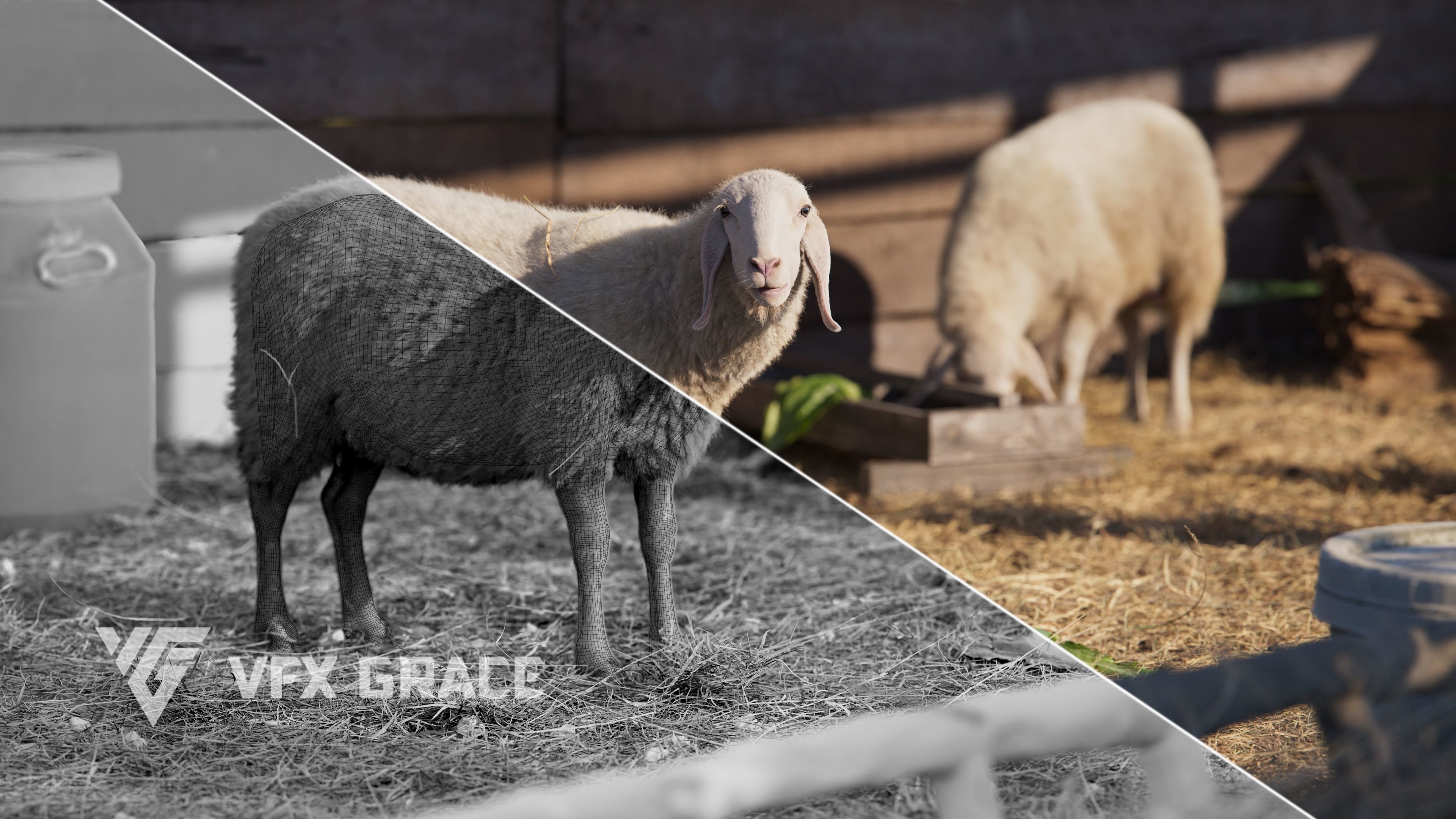 Assaf Sheep01 with 4 Animations VFX Grace 3D model_10