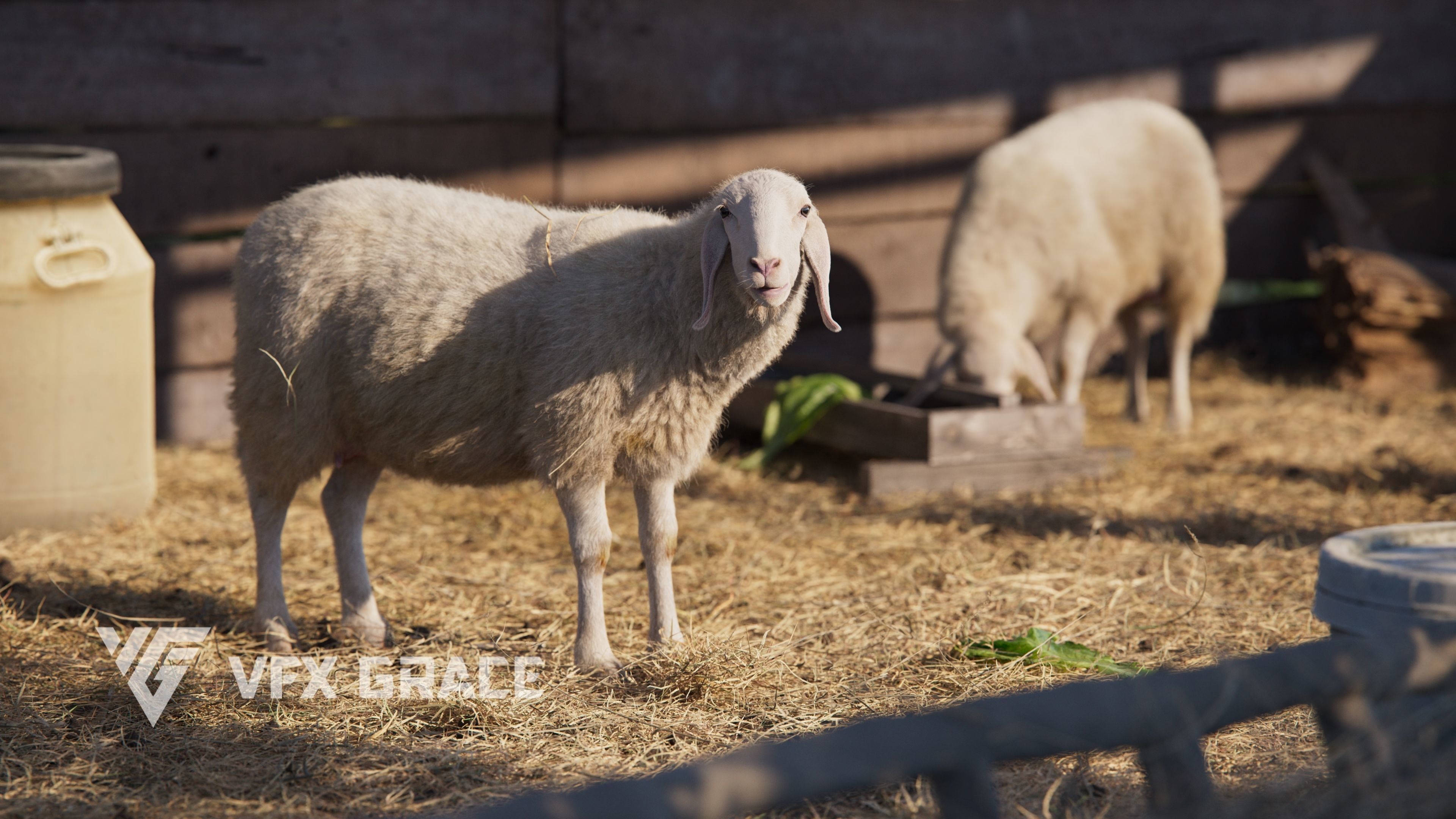 Assaf Sheep01 with 4 Animations VFX Grace 3D model_9