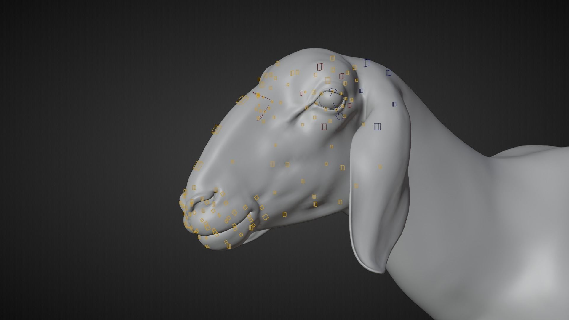 Assaf Sheep01 with 4 Animations VFX Grace 3D model_29