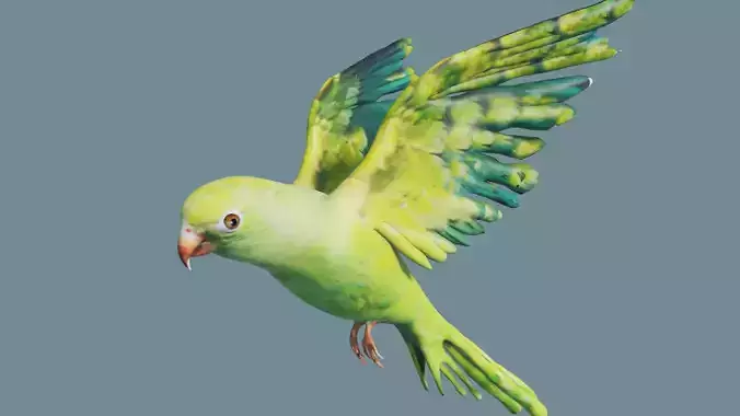 parrot parakeet flying in sky Low-poly 3D model