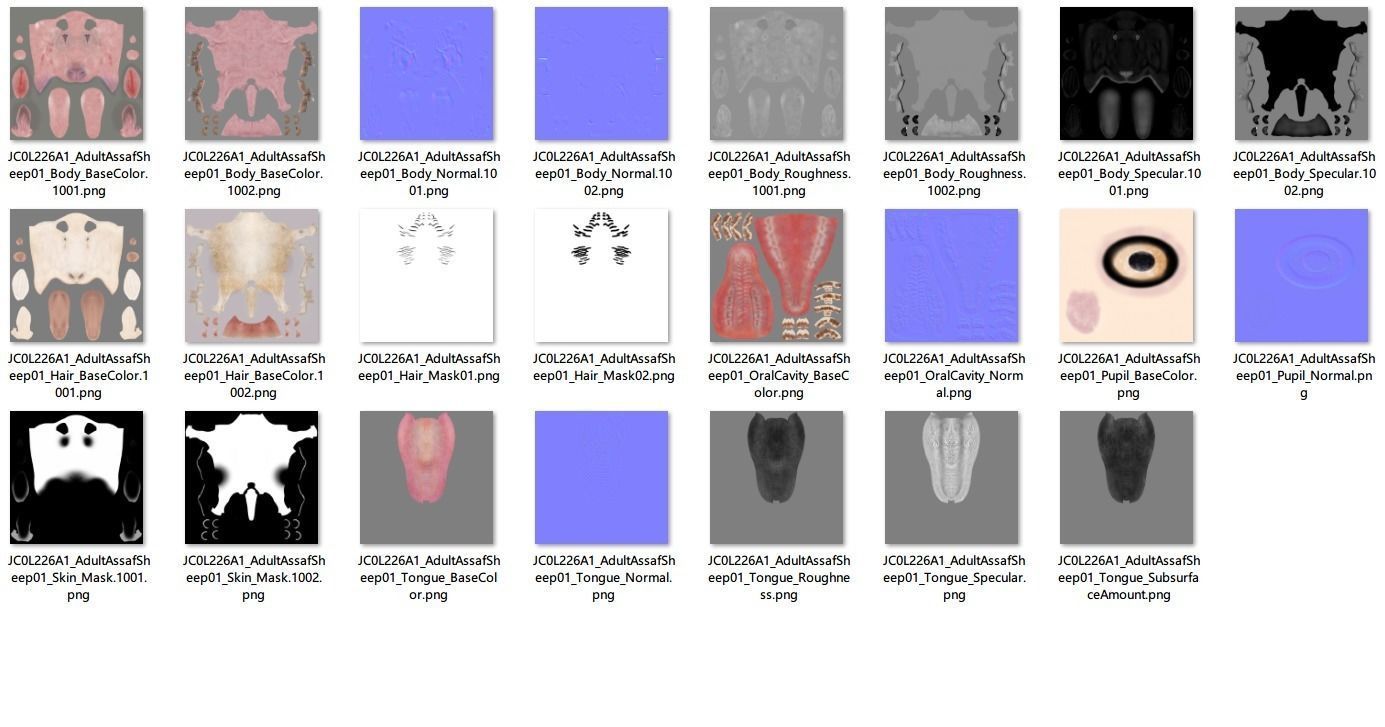 Assaf Sheep01 with 1 Animation  VFX Grace  3D model_20