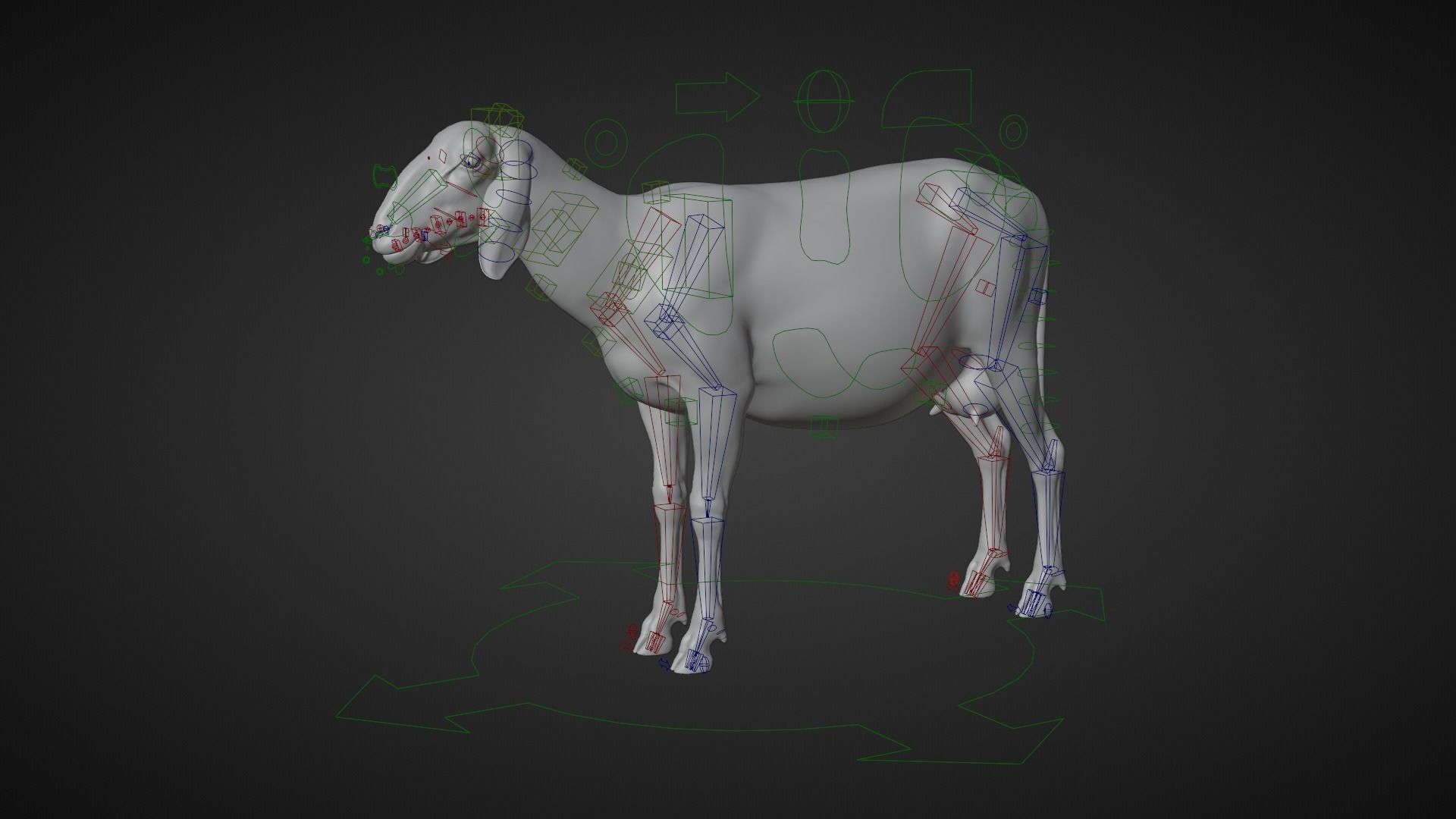 Assaf Sheep01 with 1 Animation  VFX Grace  3D model_9