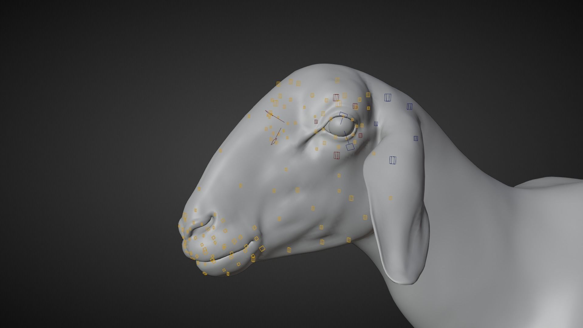 Adult Assaf Sheep02 With 4 Animations  VFX Grace 3D model_15