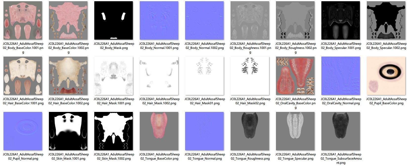 Adult Assaf Sheep02 With 4 Animations  VFX Grace 3D model_21