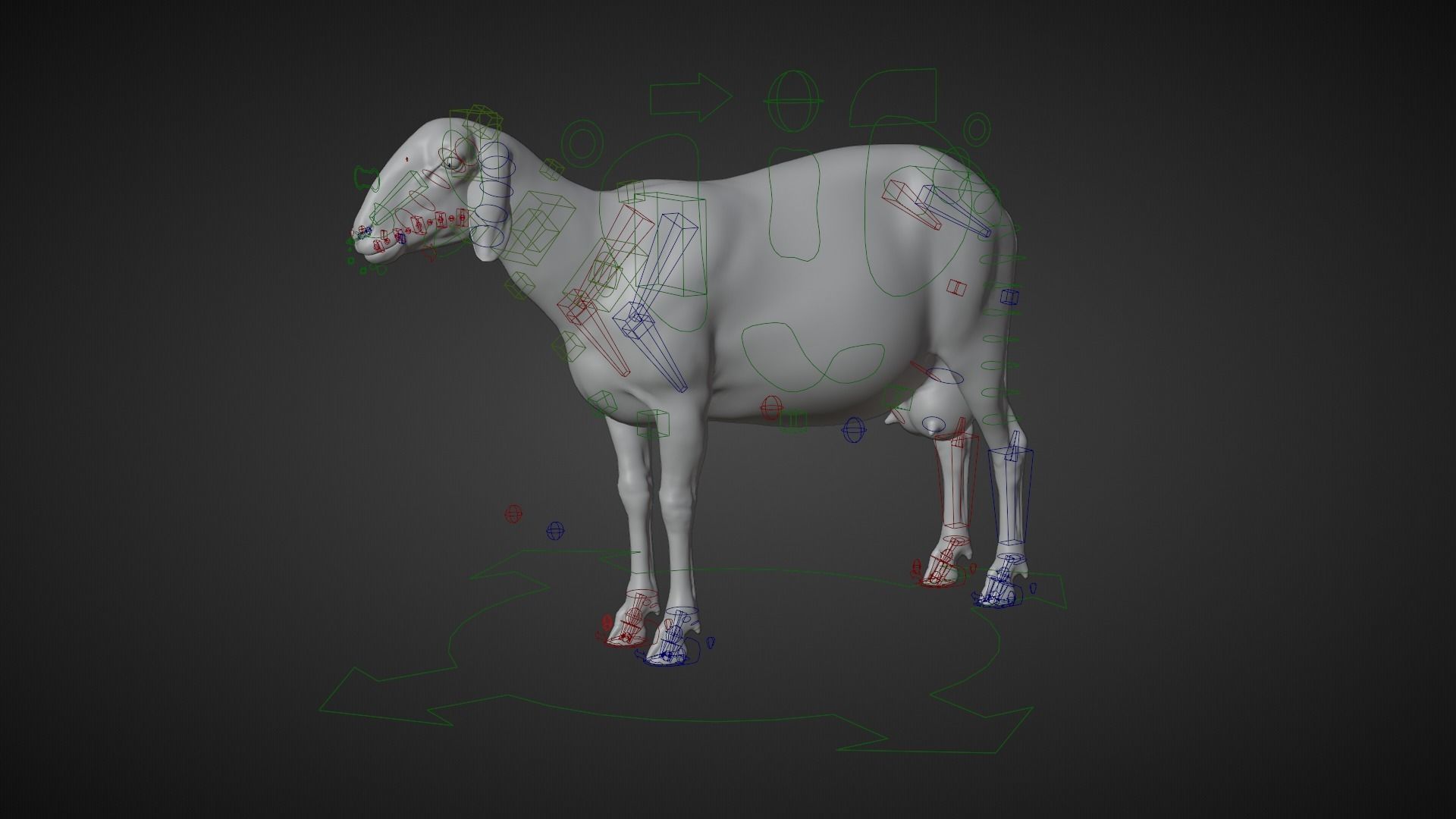 Adult Assaf Sheep02 With 4 Animations  VFX Grace 3D model_11