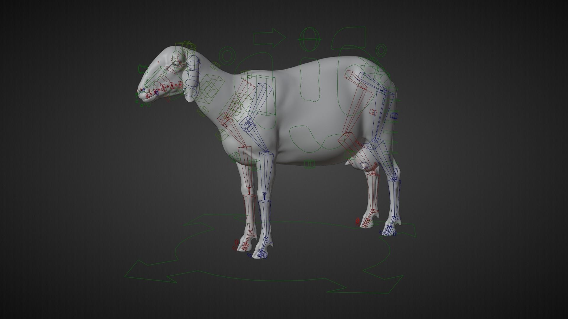 Adult Assaf Sheep02 With 4 Animations  VFX Grace 3D model_12
