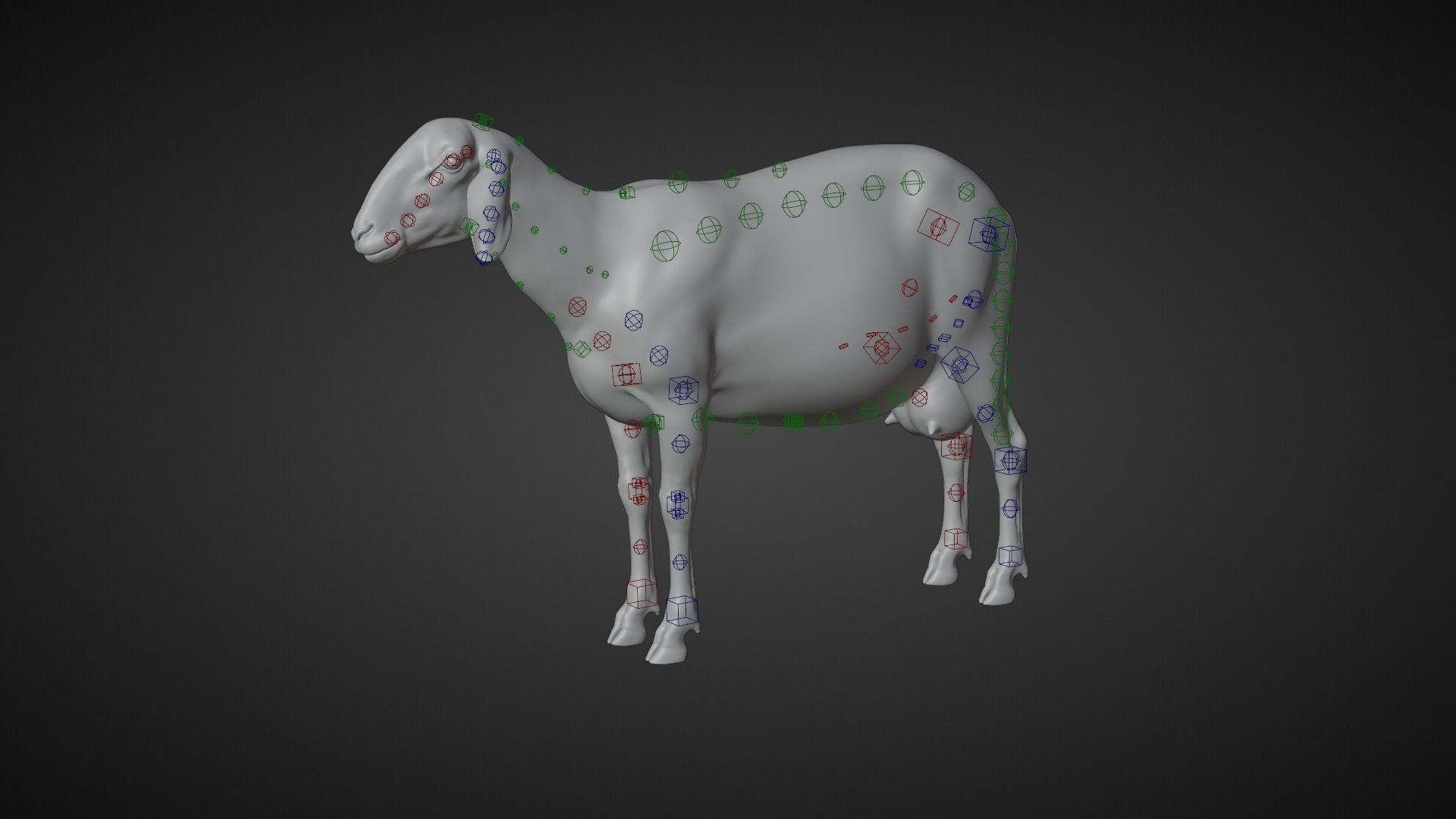 Adult Assaf Sheep02 With 4 Animations  VFX Grace 3D model_13