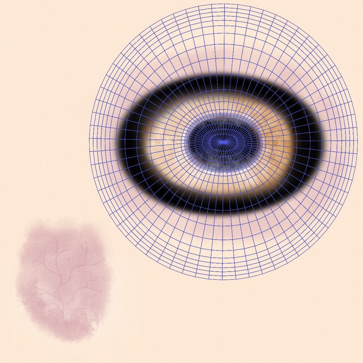 Assaf Sheep02 With 1 Animation  VFX Grace  3D model_15