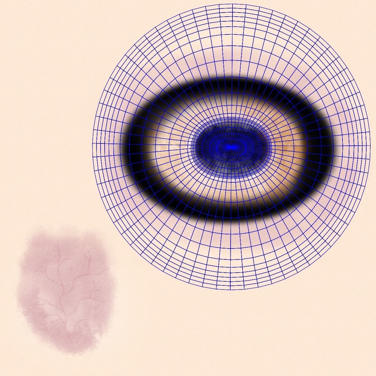 Assaf Sheep03 With 4 Animations VFX Grace  3D model_24