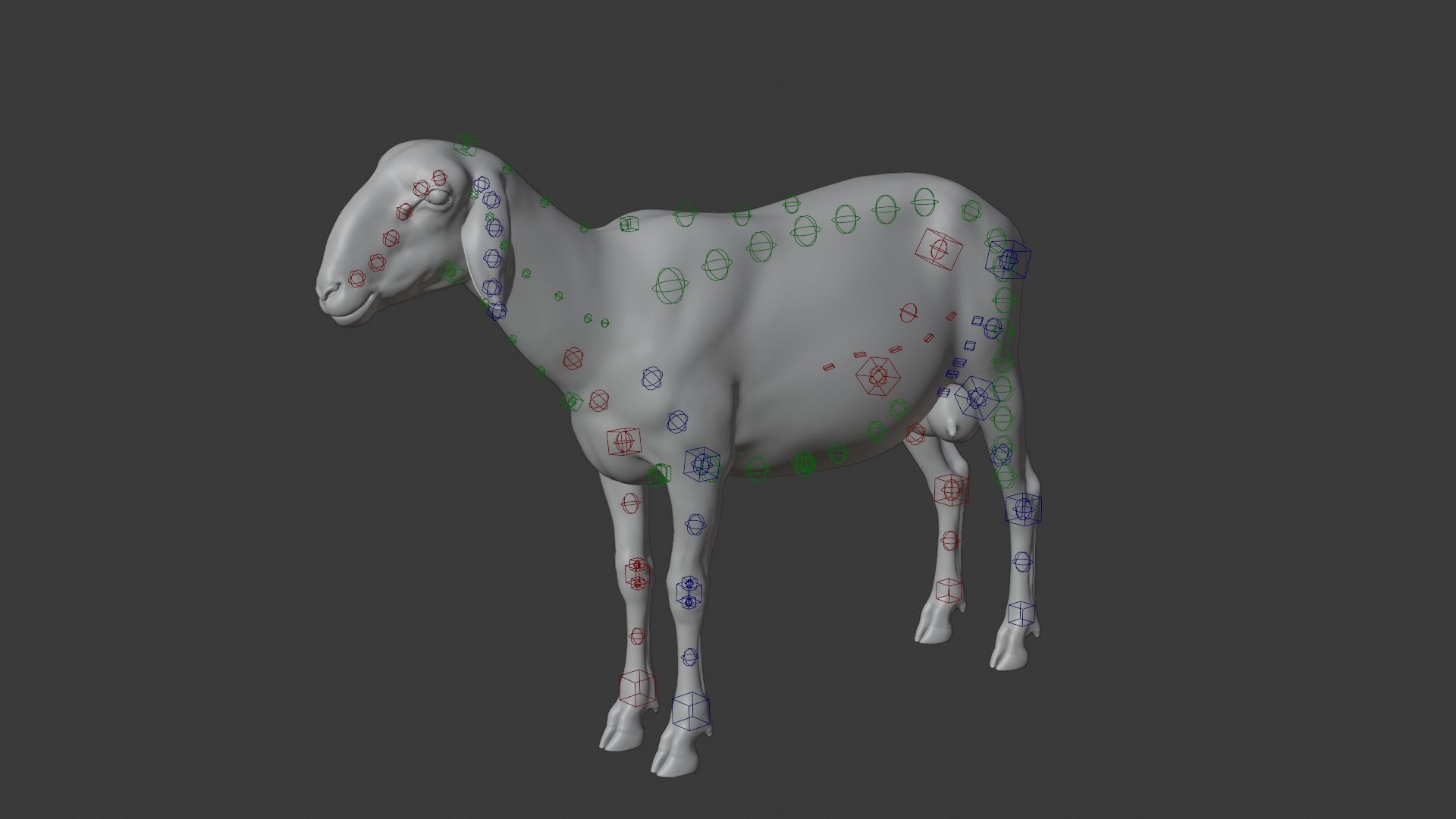 Assaf Sheep03 With 4 Animations VFX Grace  3D model_17