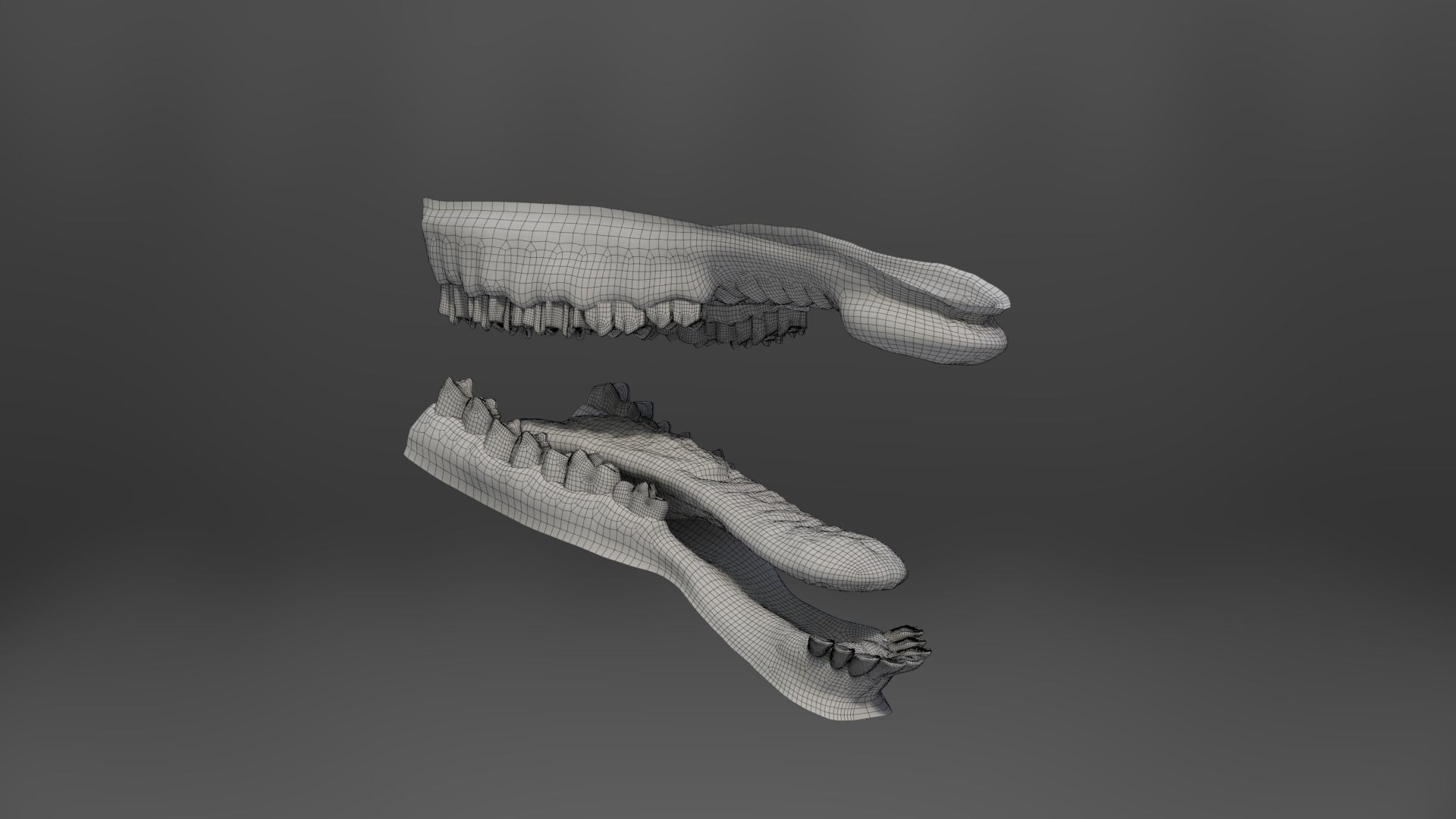 Assaf Sheep03 With 1 Animation VFX Grace 3D model_14