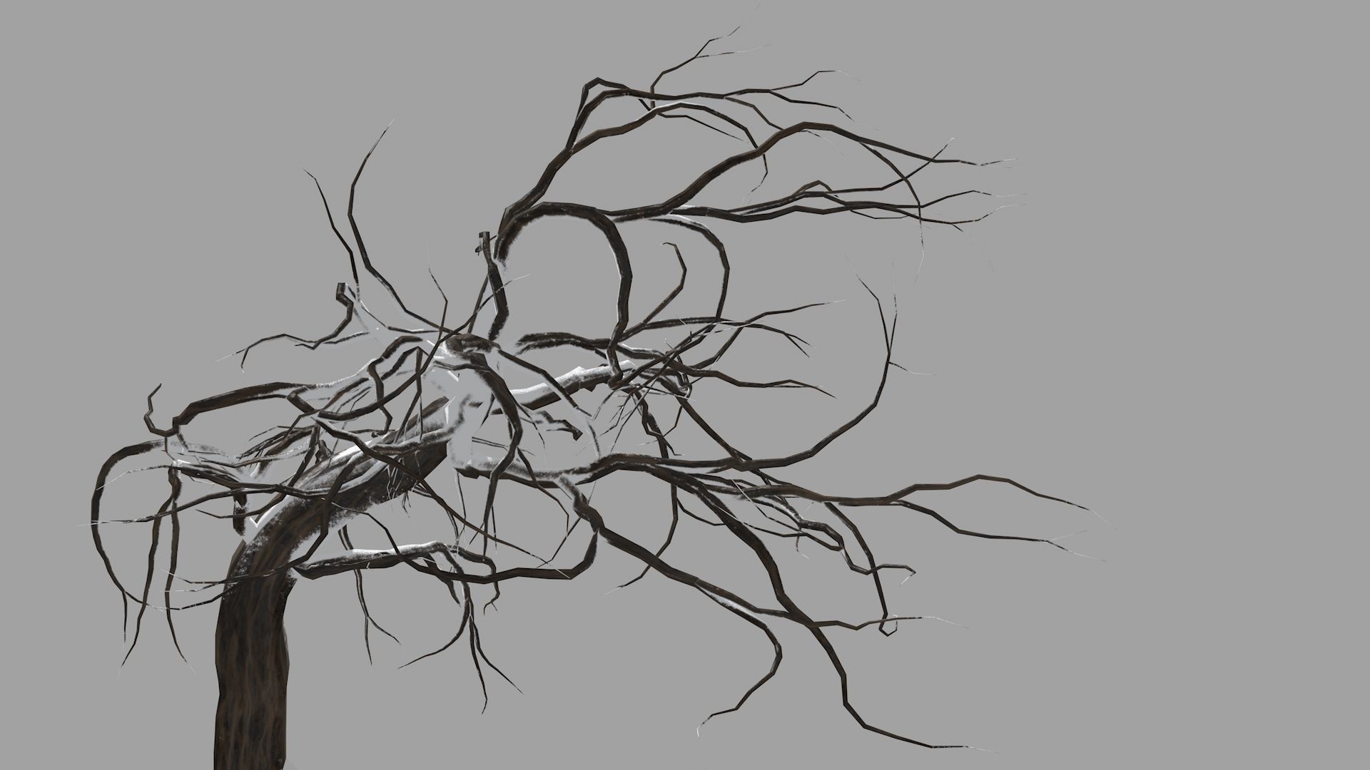 Winter tree  Low-poly 3D model_17