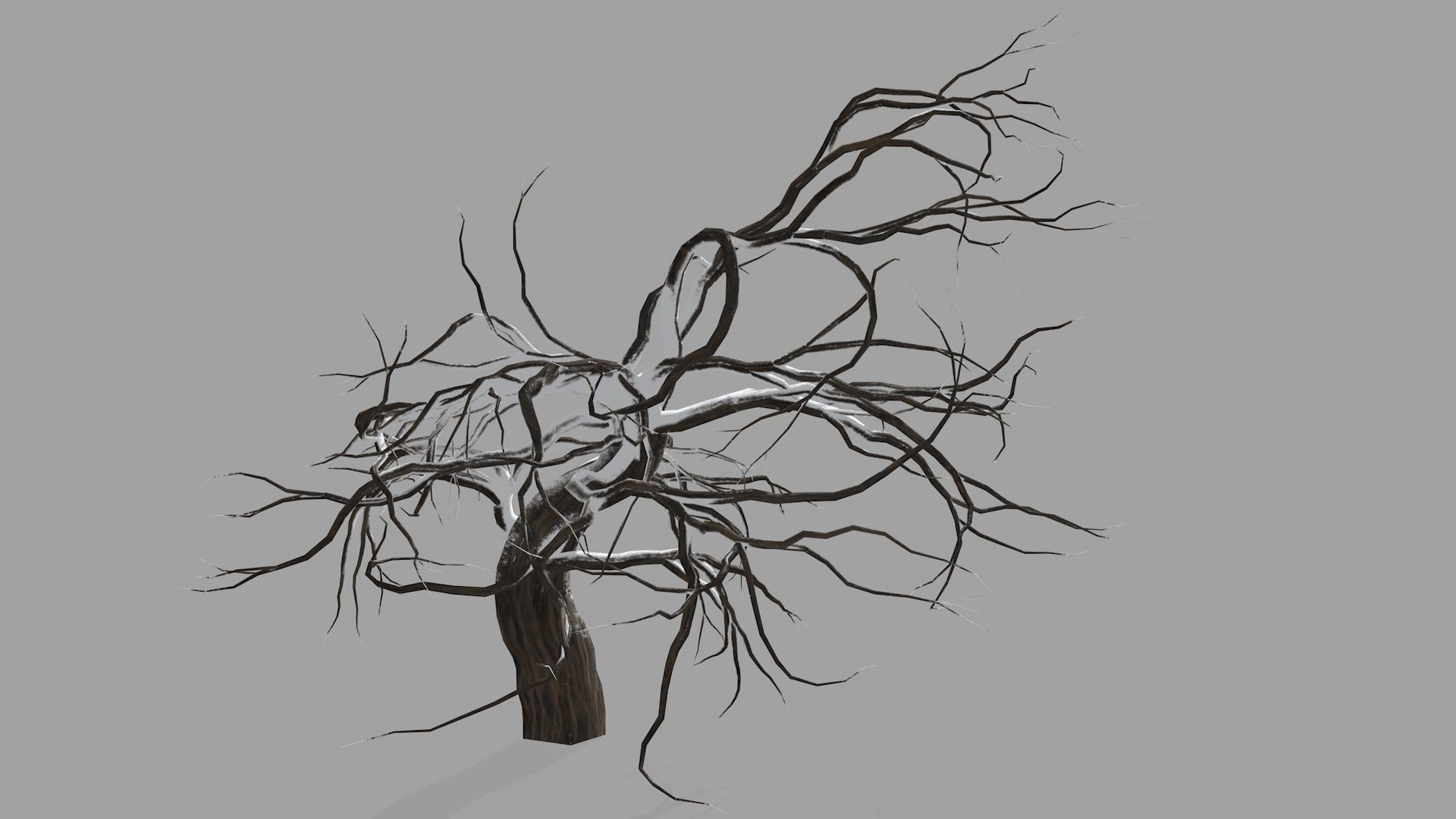 Winter tree  Low-poly 3D model_18