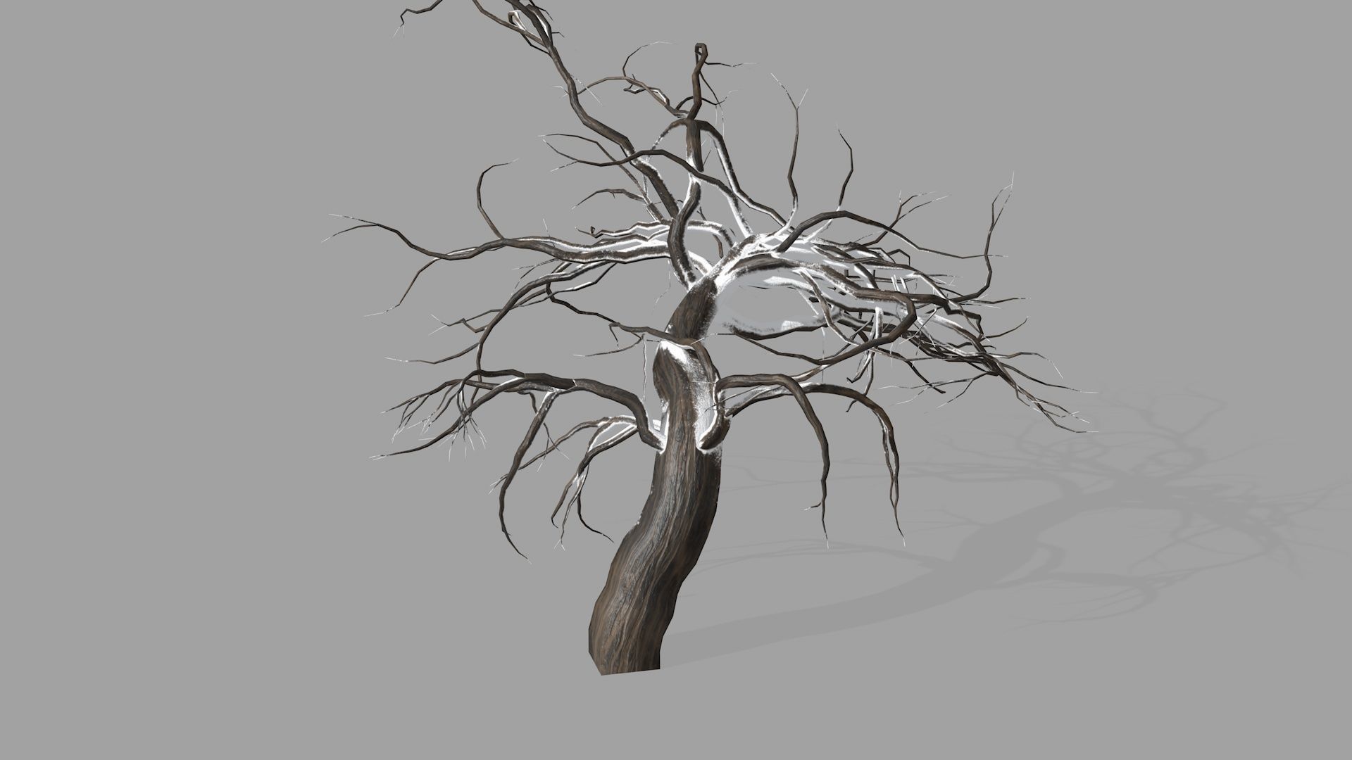 Winter tree  Low-poly 3D model_3