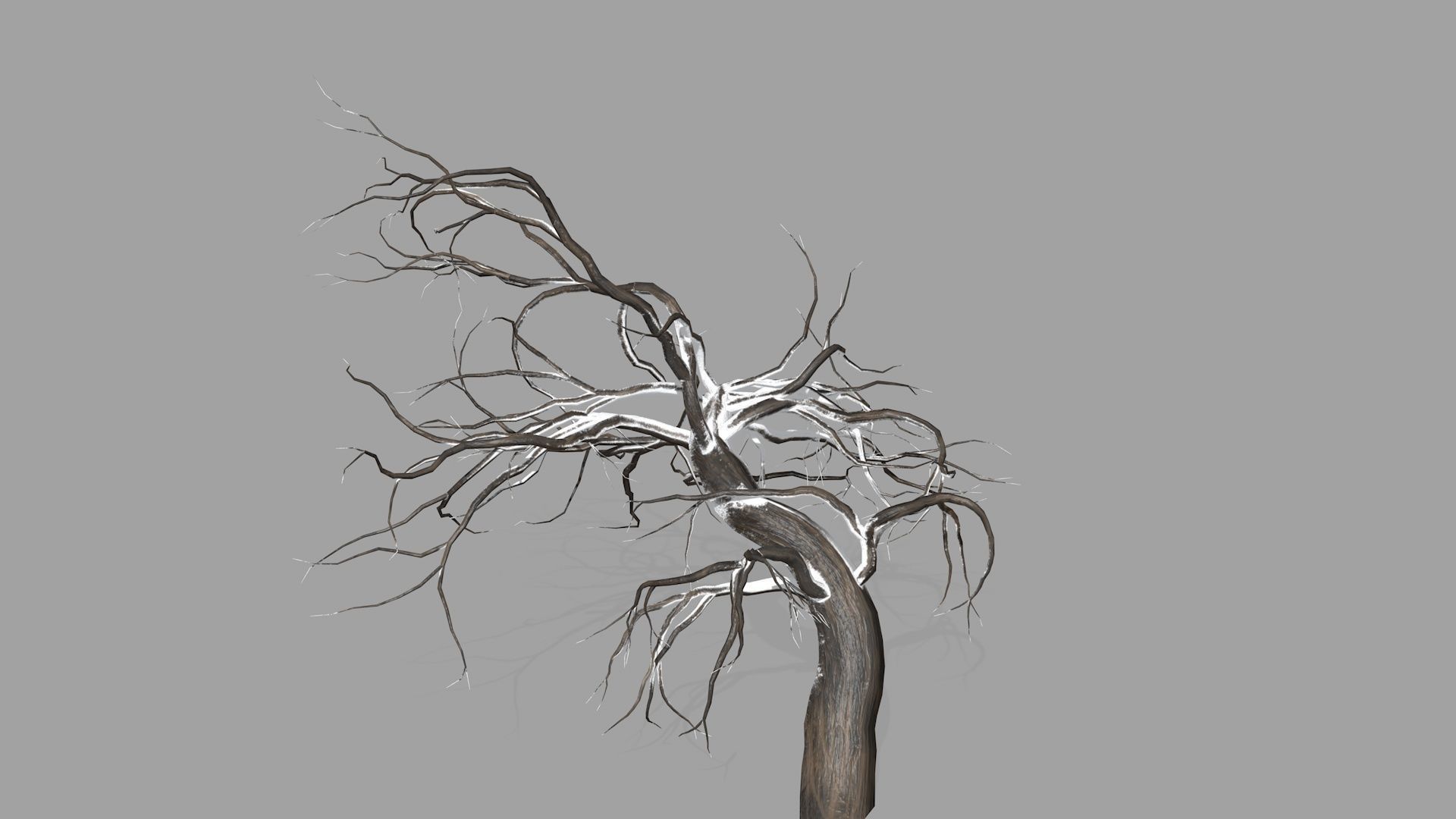 Winter tree  Low-poly 3D model_2