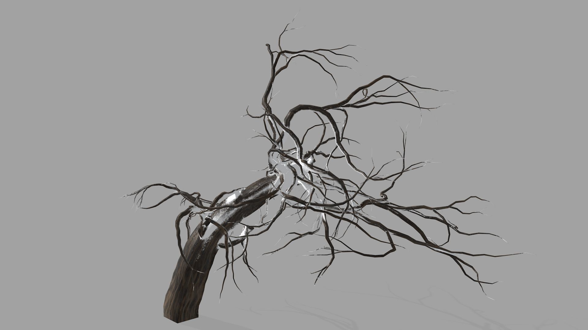 Winter tree  Low-poly 3D model_4