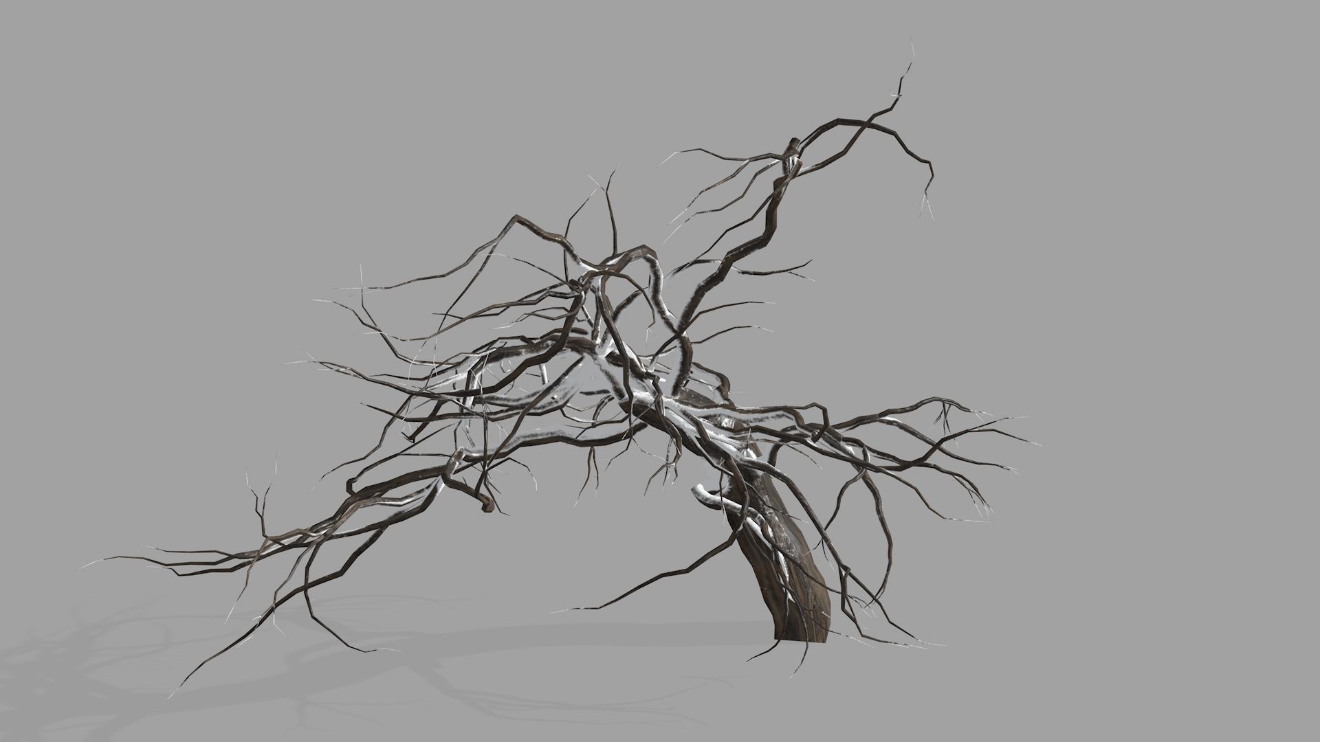 Winter tree  Low-poly 3D model_19