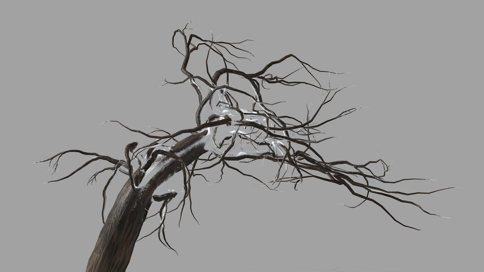 Winter tree  Low-poly 3D model_16