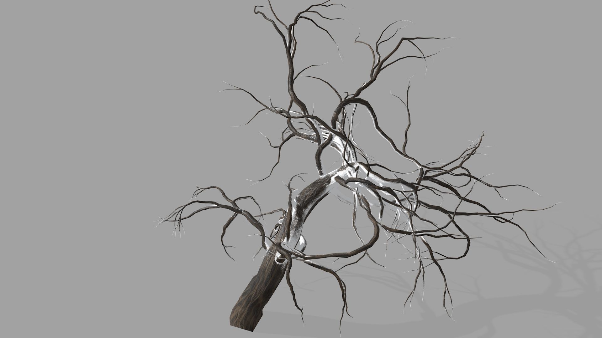 Winter tree  Low-poly 3D model_10