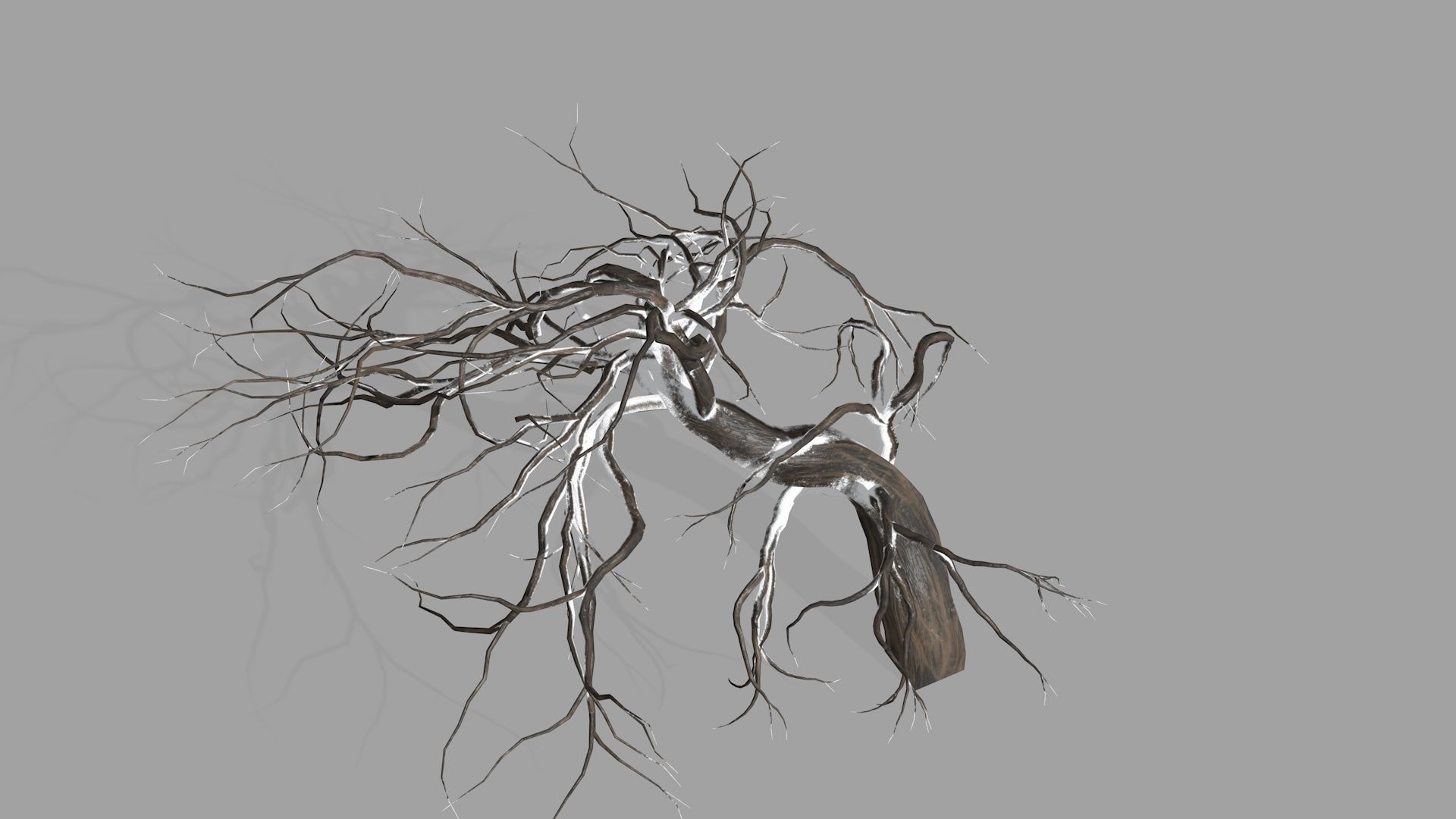 Winter tree  Low-poly 3D model_14