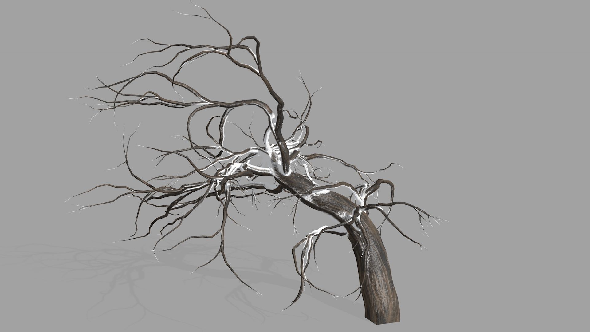 Winter tree  Low-poly 3D model_1