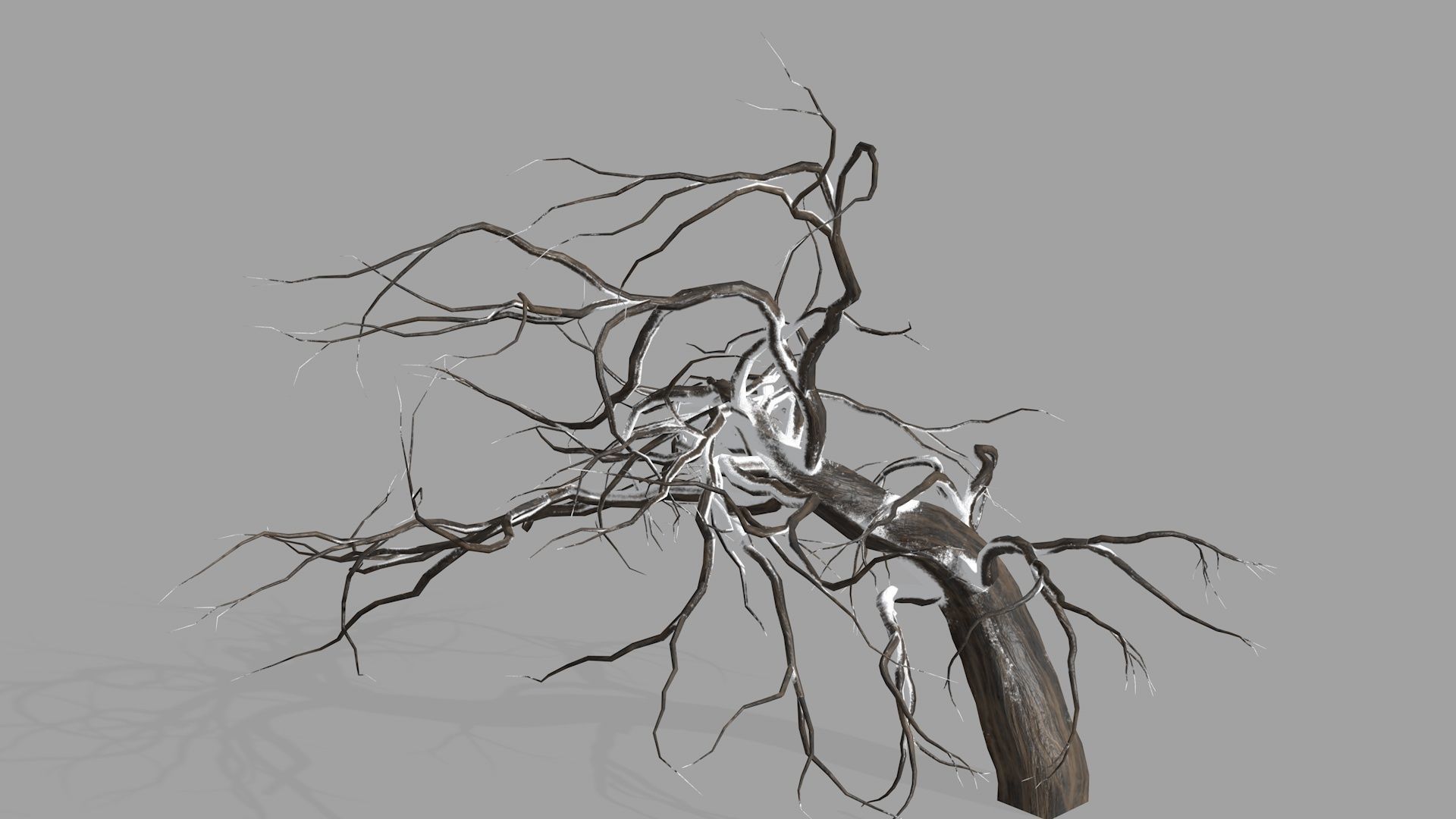 Winter tree  Low-poly 3D model_7