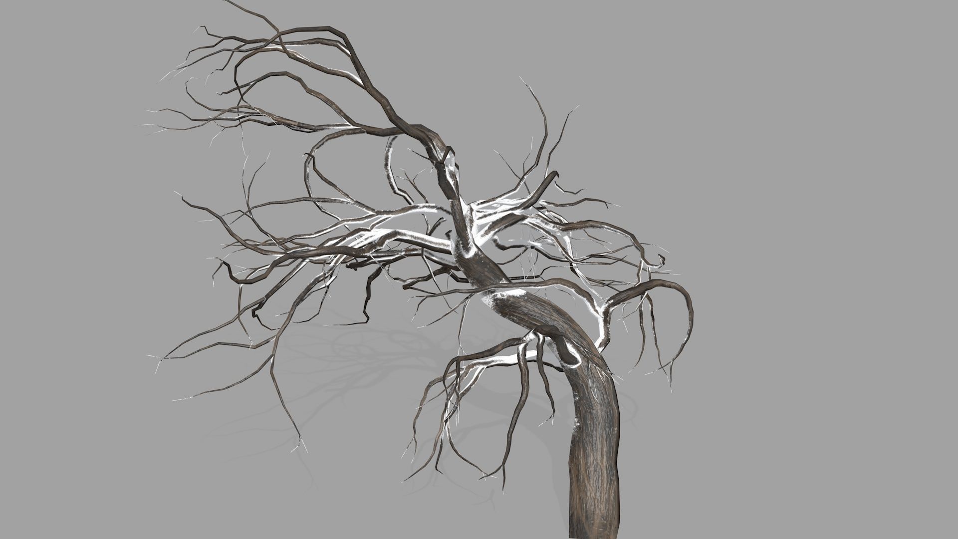 Winter tree  Low-poly 3D model_8