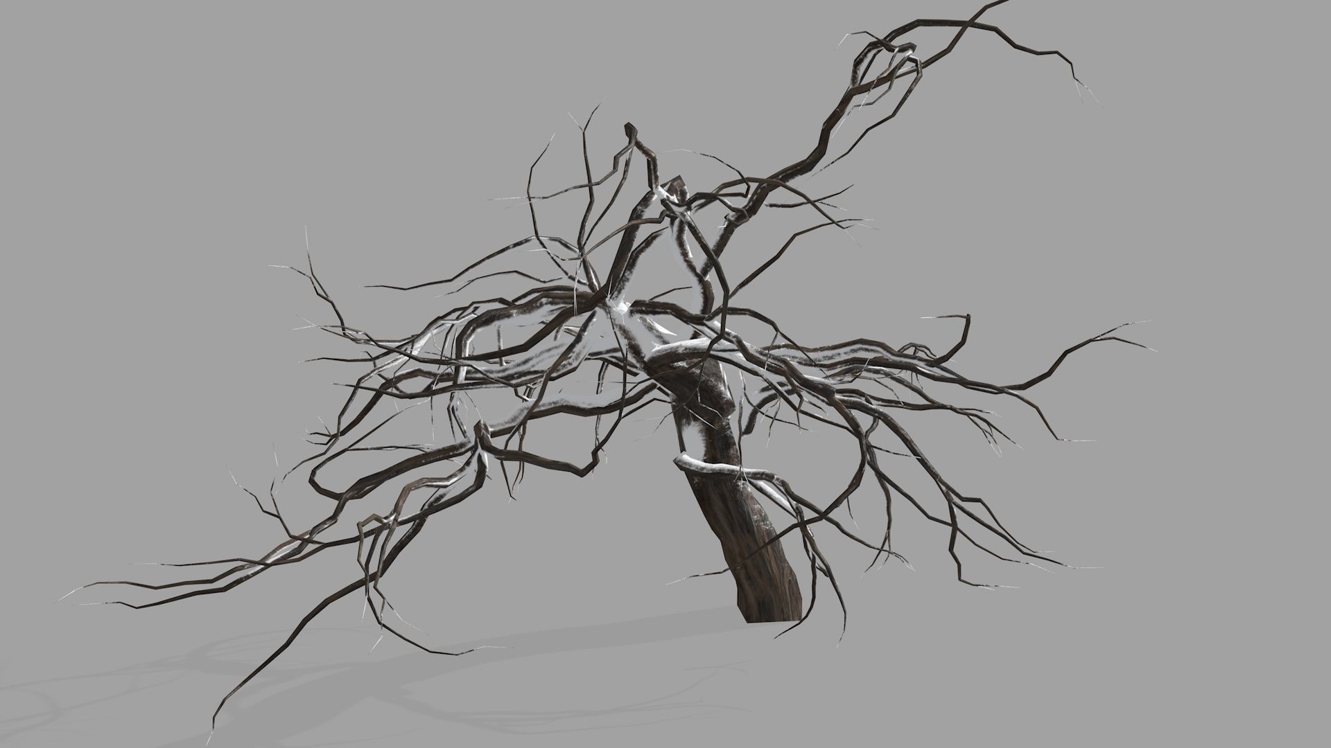 Winter tree  Low-poly 3D model_13