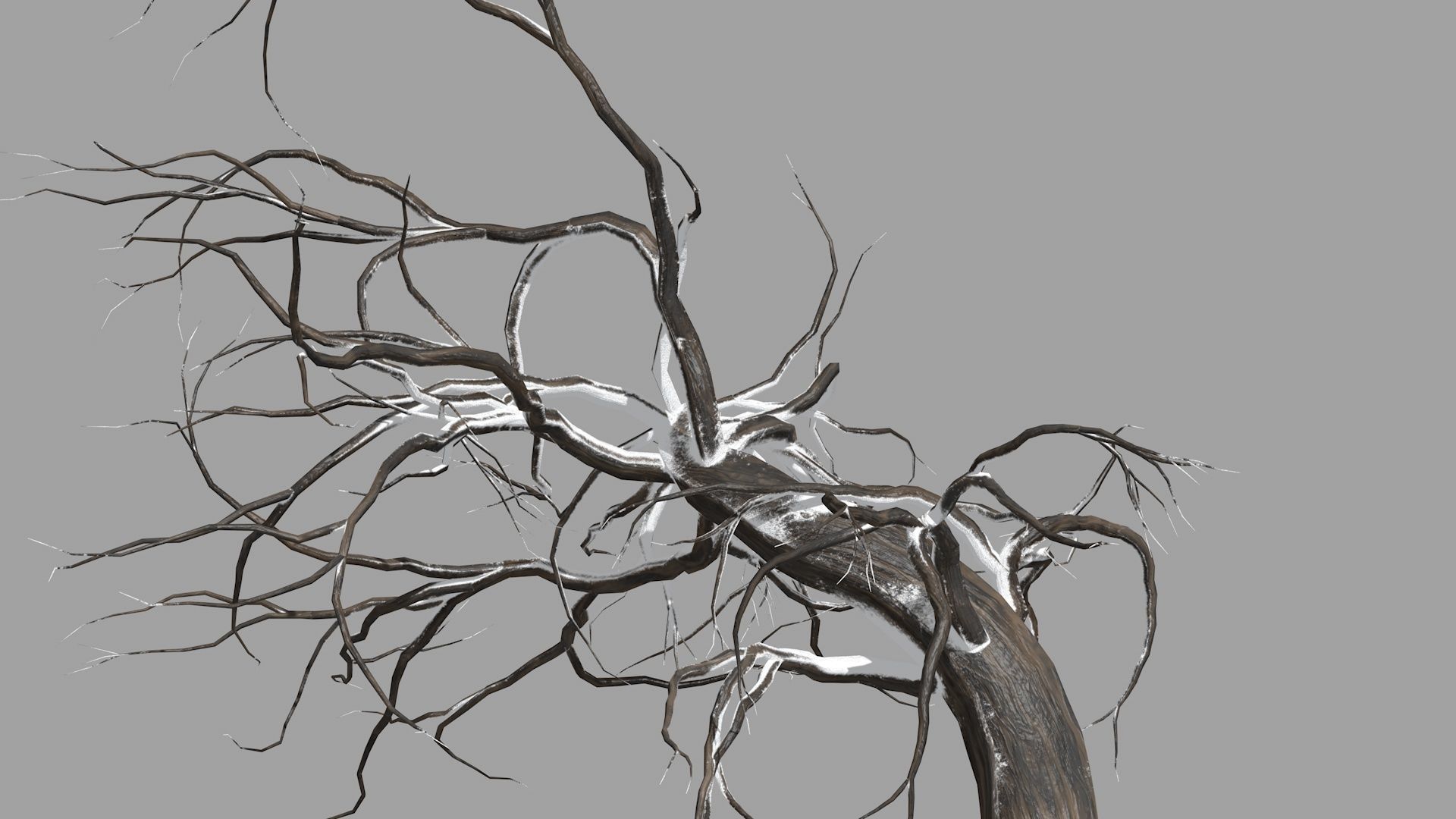 Winter tree  Low-poly 3D model_20