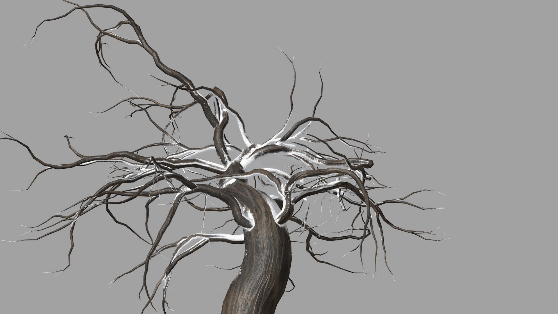 Winter tree  Low-poly 3D model_15